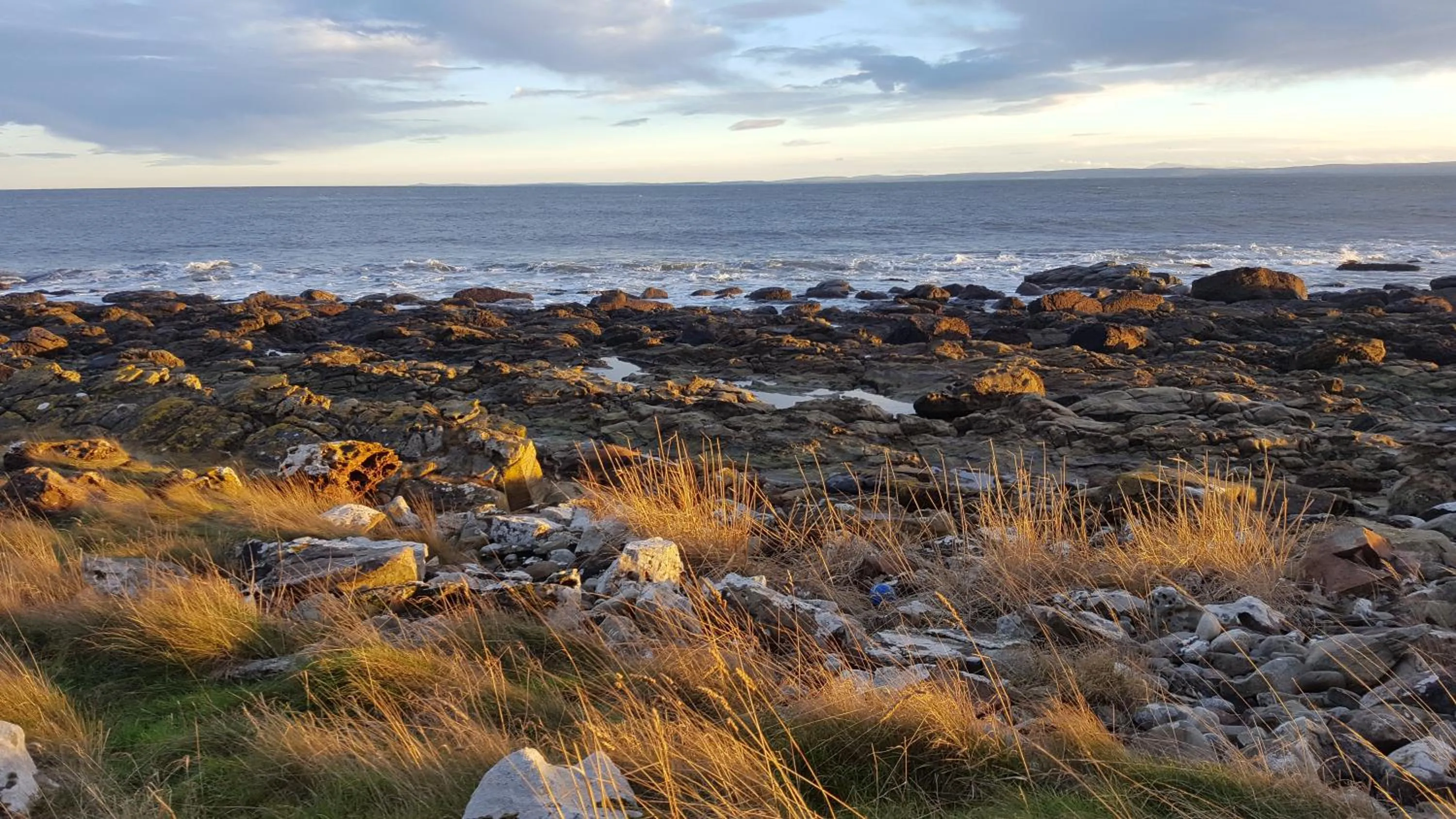 Natural landscape in Canterra Cottage