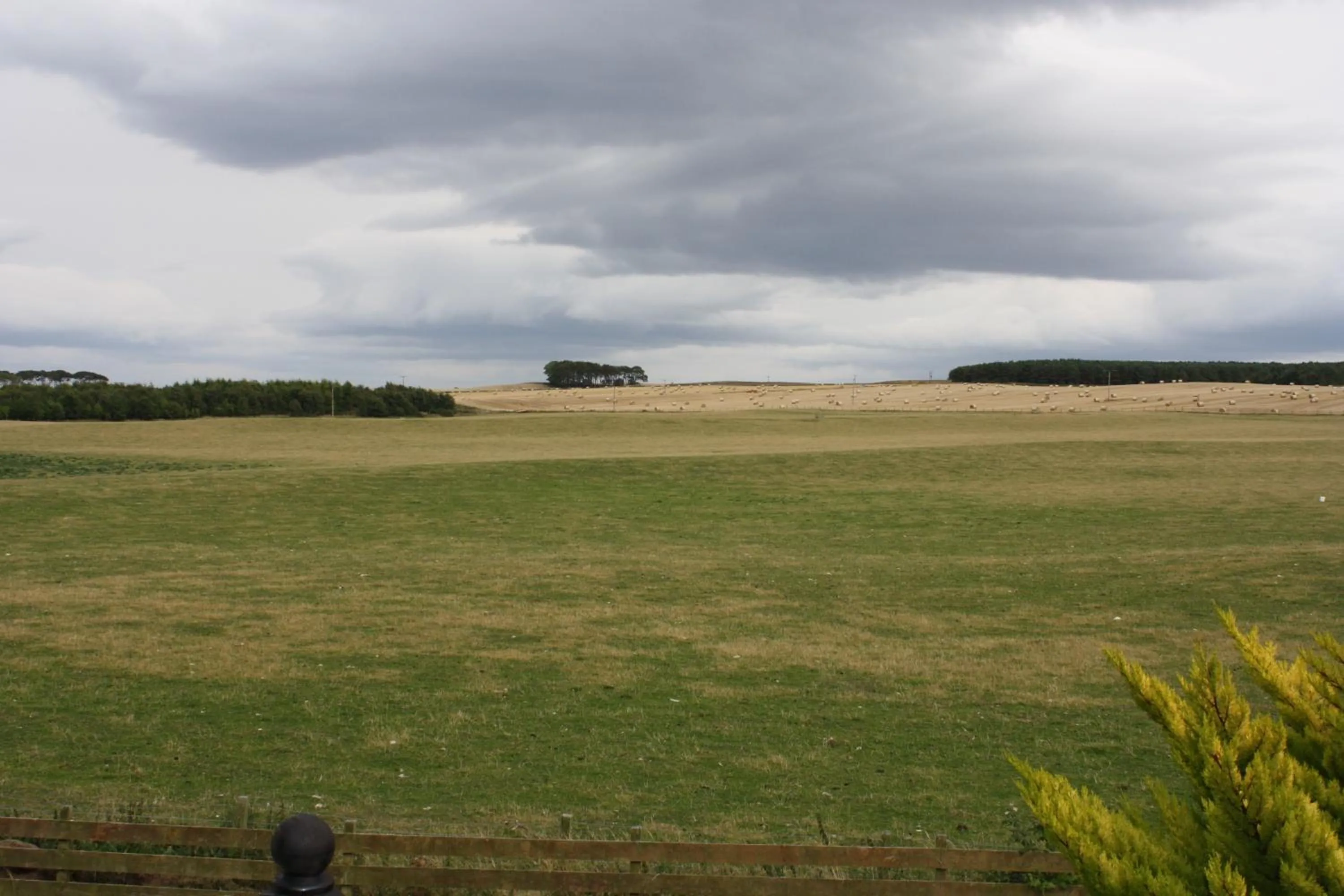 Garden view in Canterra Cottage