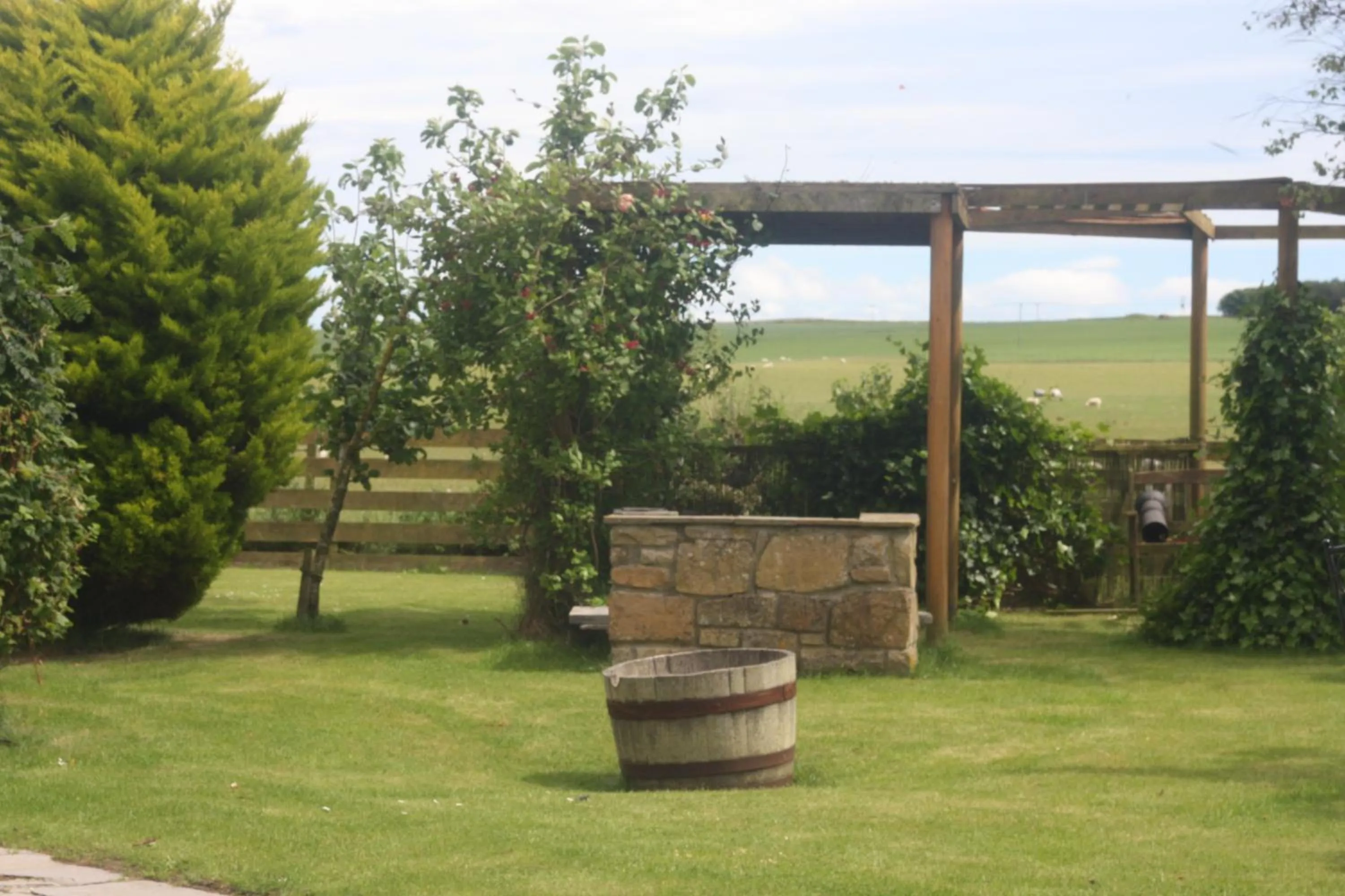 BBQ facilities in Canterra Cottage