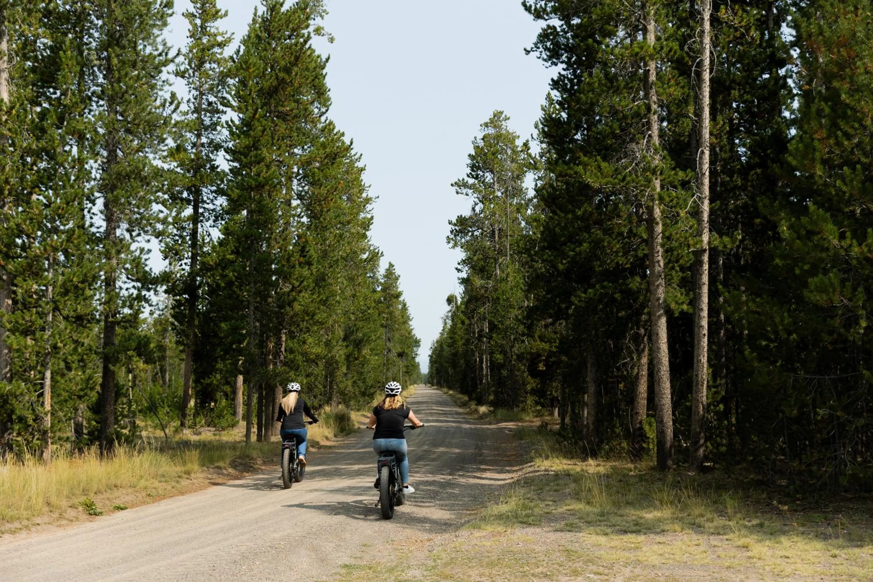Natural landscape in Gray Wolf Inn & Suites