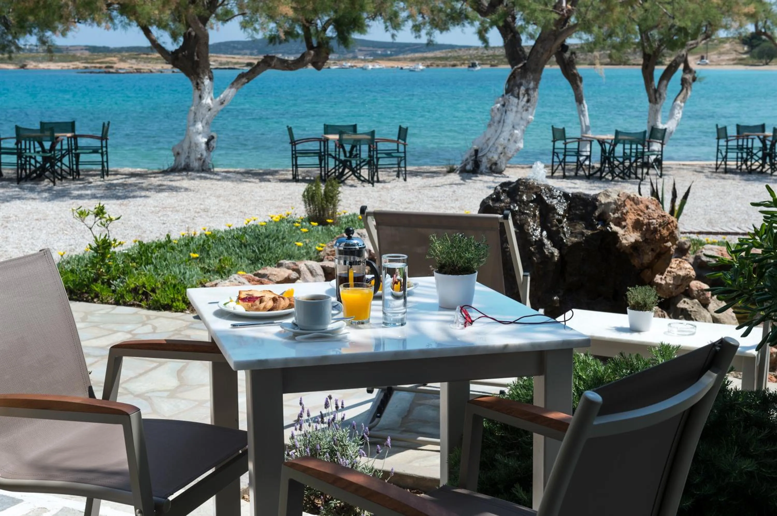 Food close-up in Kalypso Hotel
