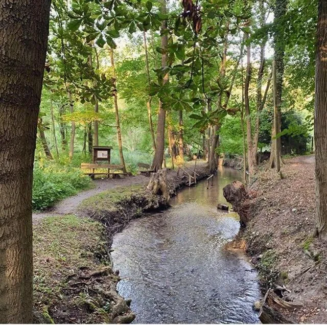 Strandhotel Vier Jahreszeiten Buckow