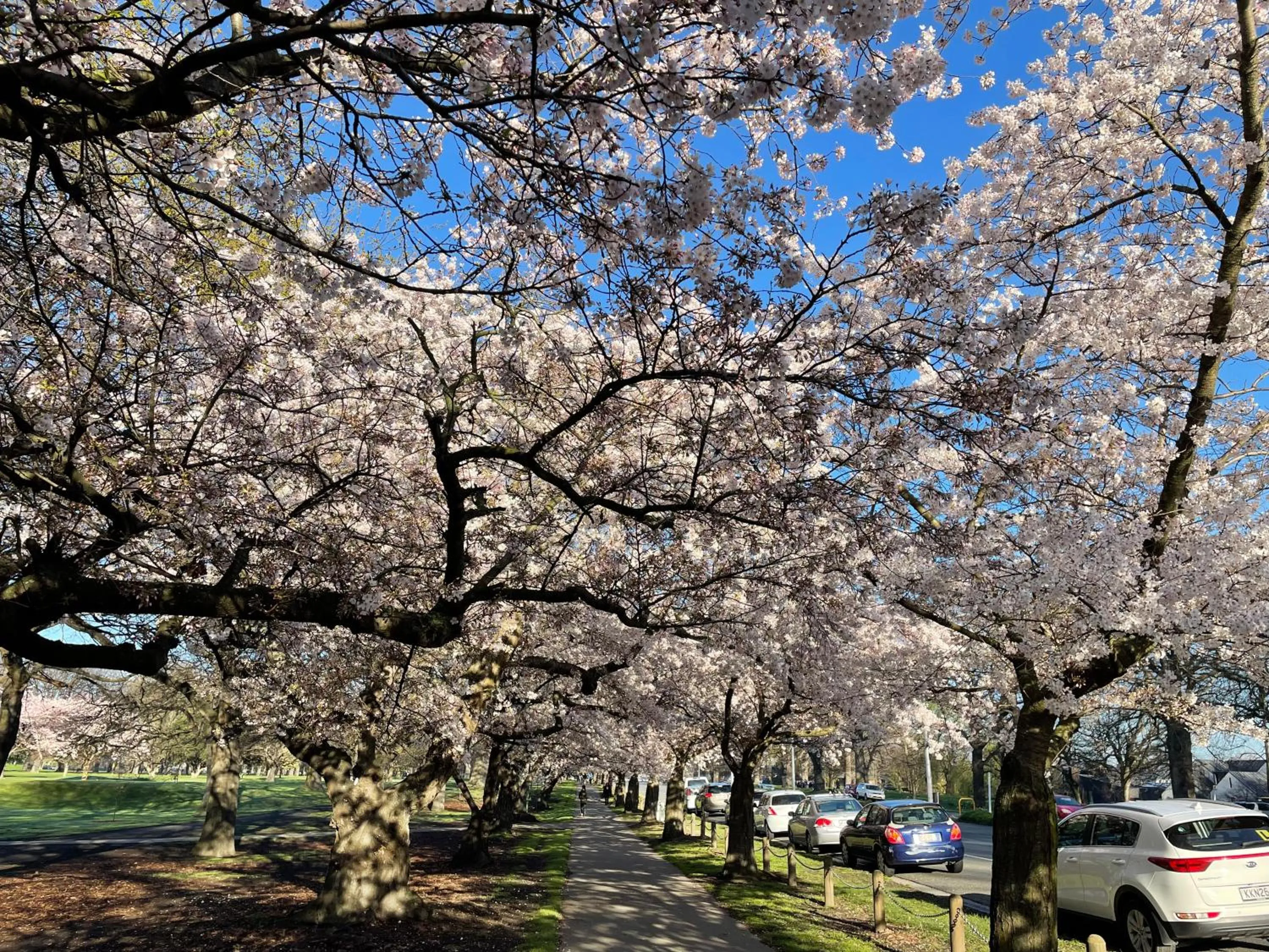 Neighbourhood in Central Park Motor Lodge