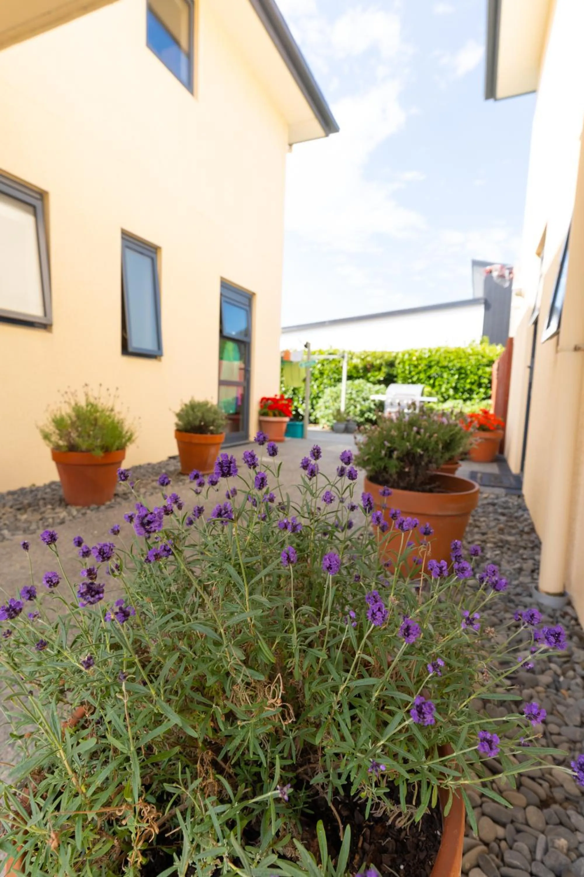 BBQ facilities in Bella Vista Motel Ashburton