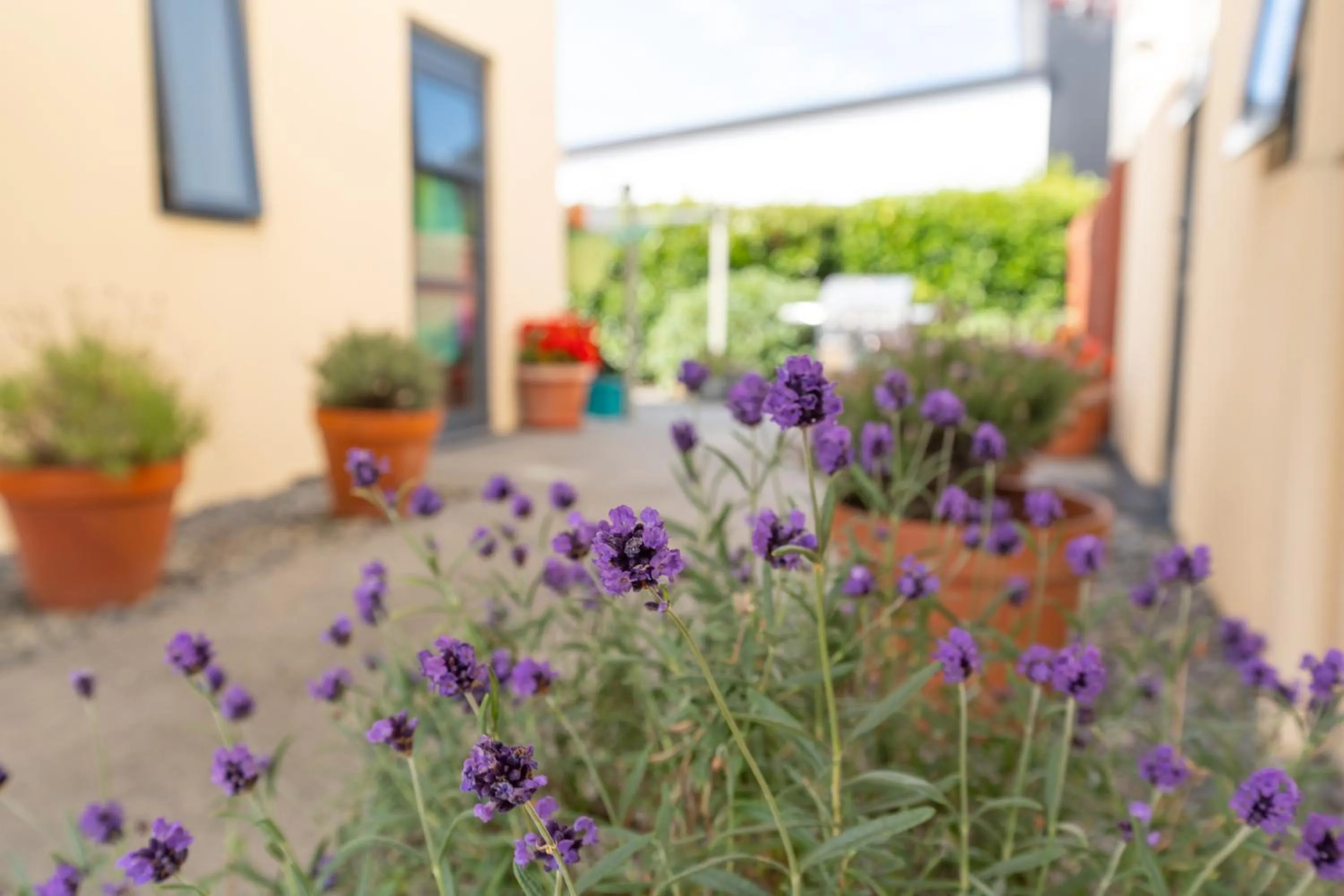 Property building in Bella Vista Motel Ashburton