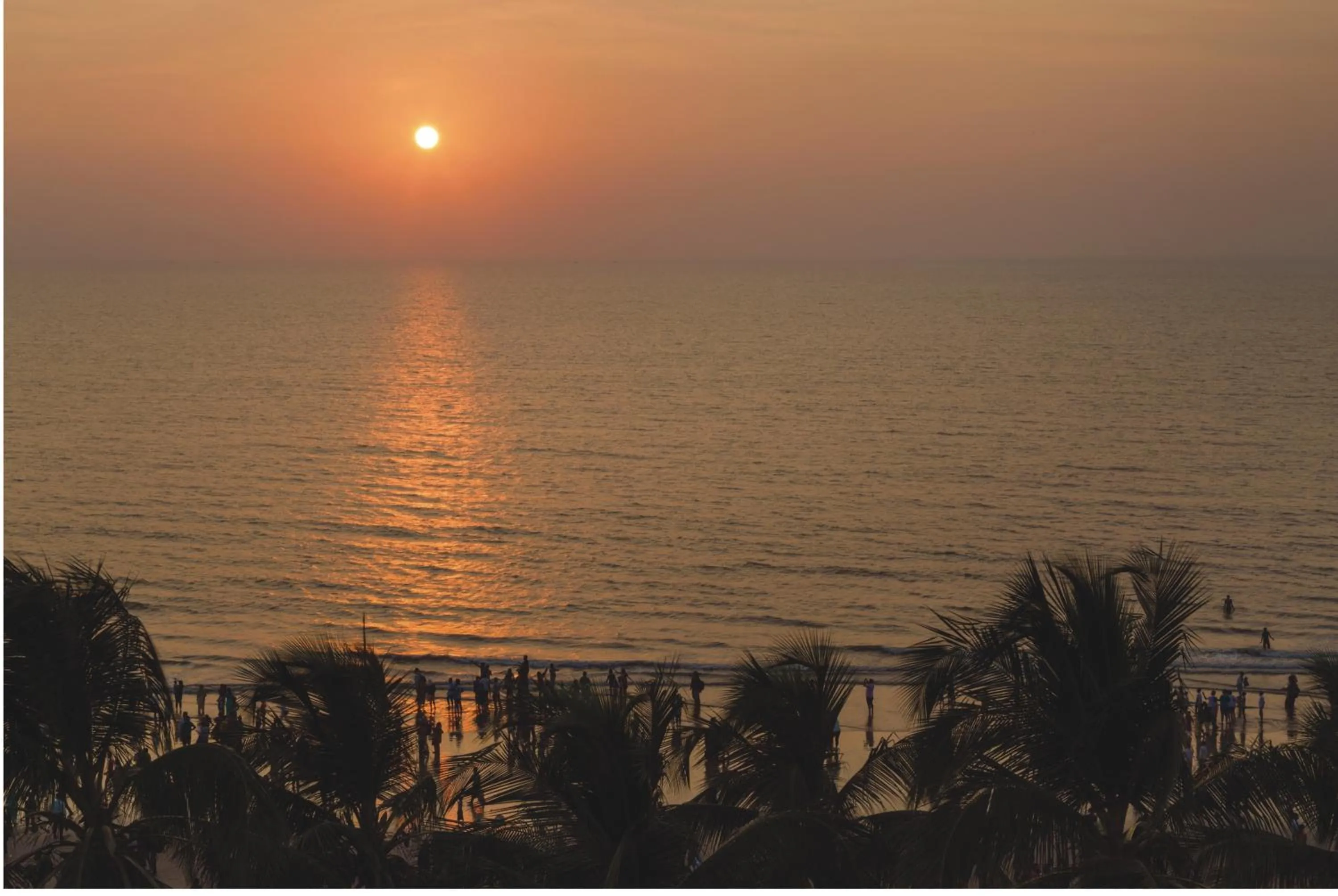 Beach in Ramada Plaza By Wyndham Palm Grove