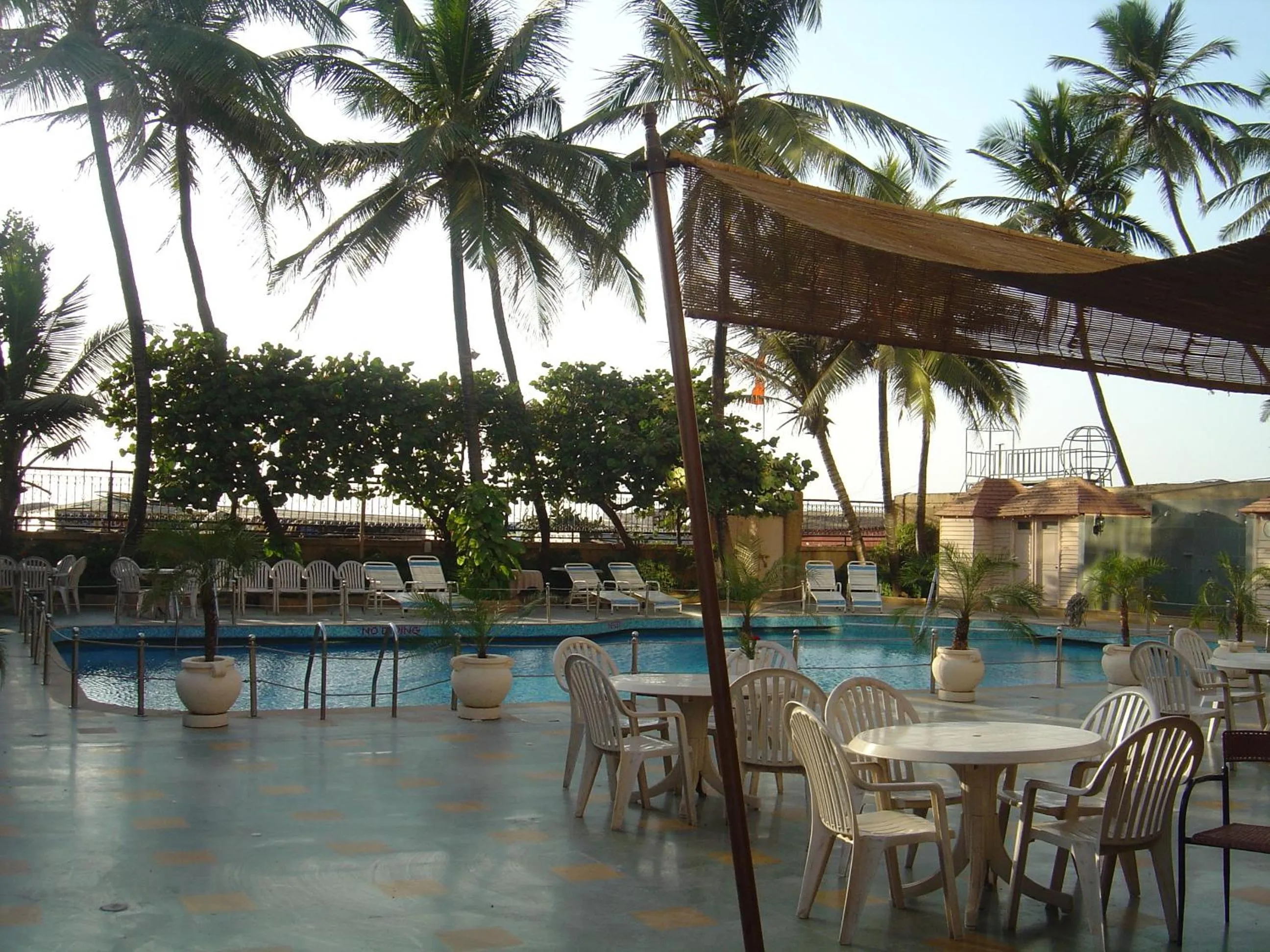Swimming pool in Ramada Plaza By Wyndham Palm Grove