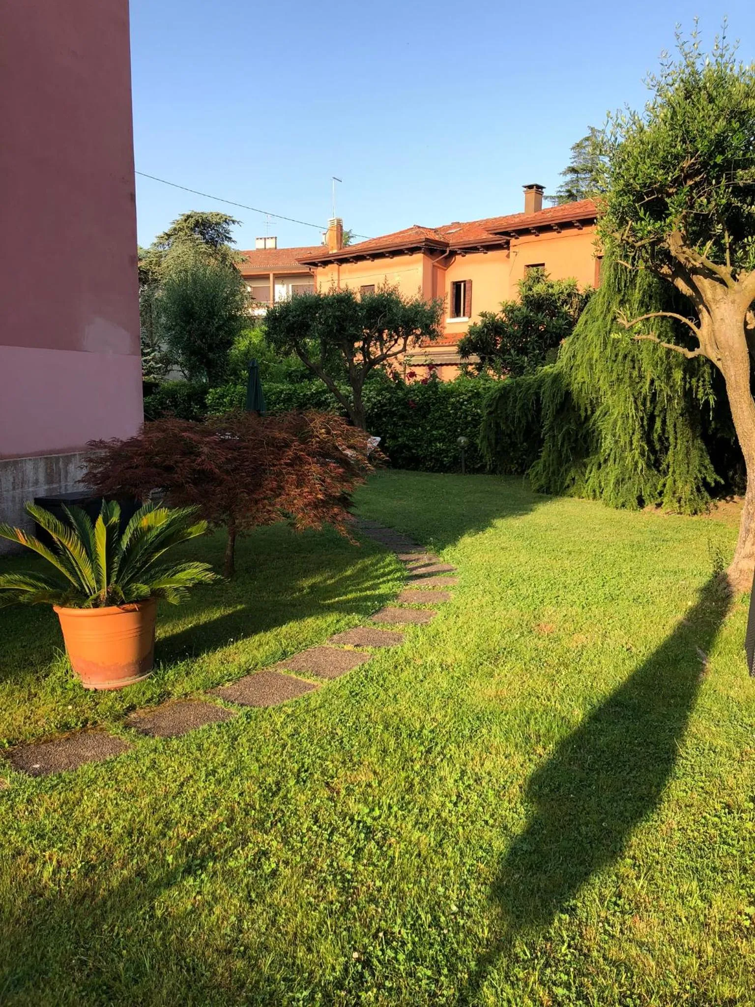 Garden in Villa Dacri