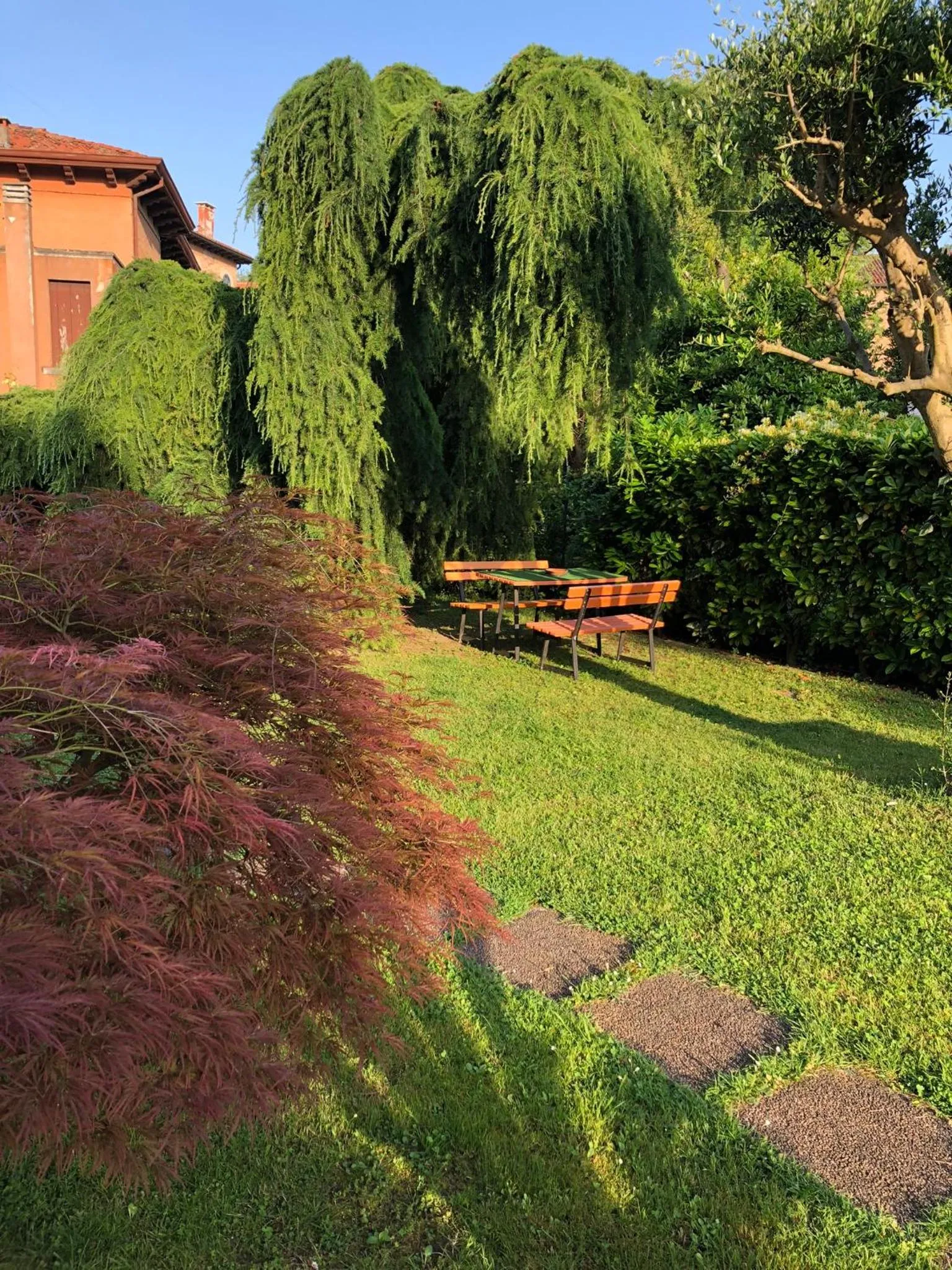 Garden in Villa Dacri
