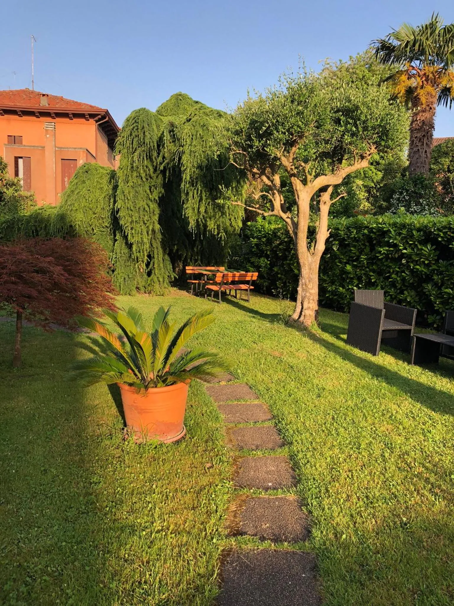 Garden in Villa Dacri