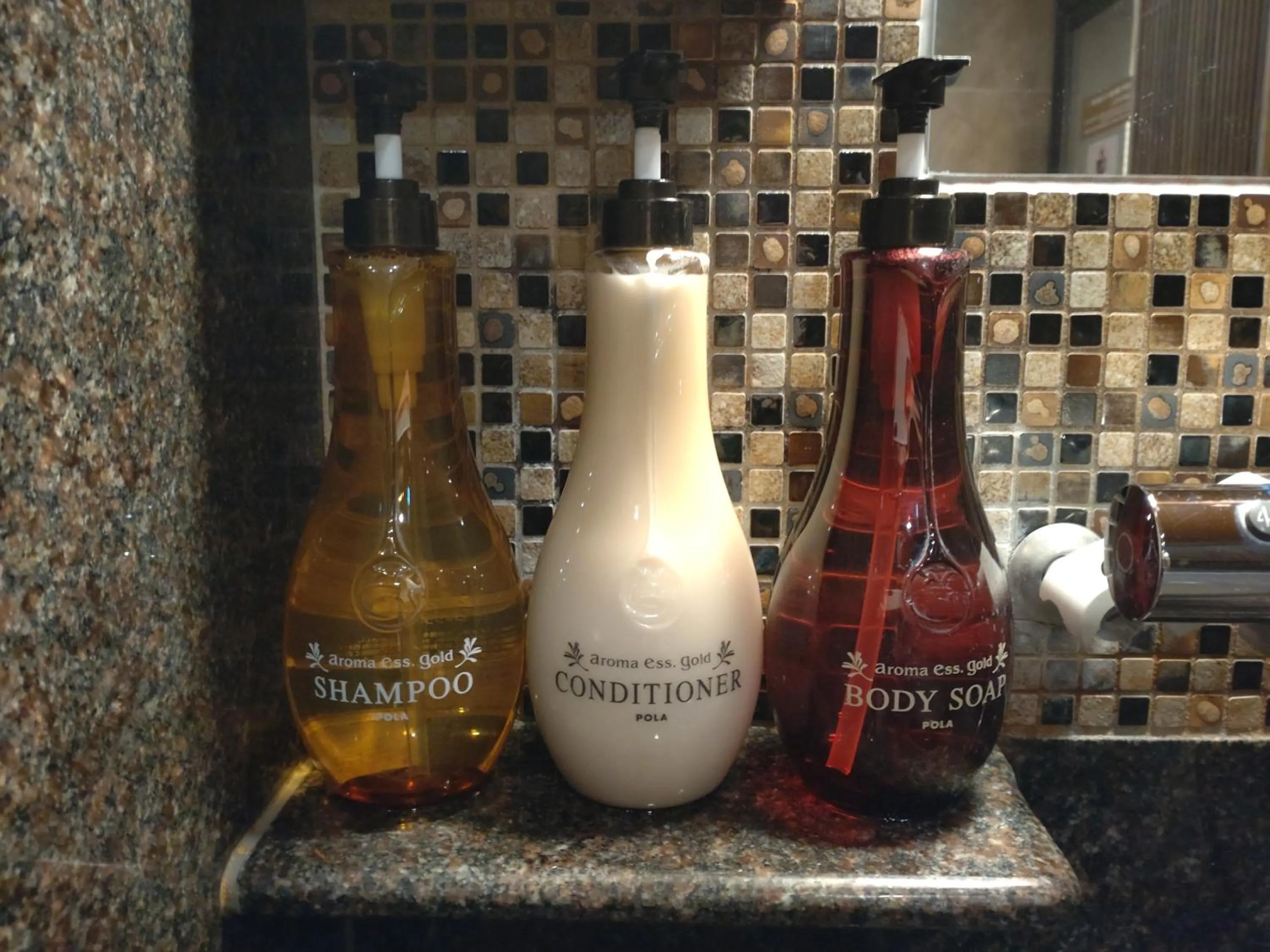 Hot Spring Bath in Dormy Inn Premium Kyoto Ekimae Natural Hot Spring