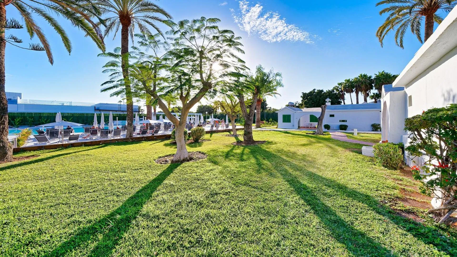 Garden in Canary Garden Club