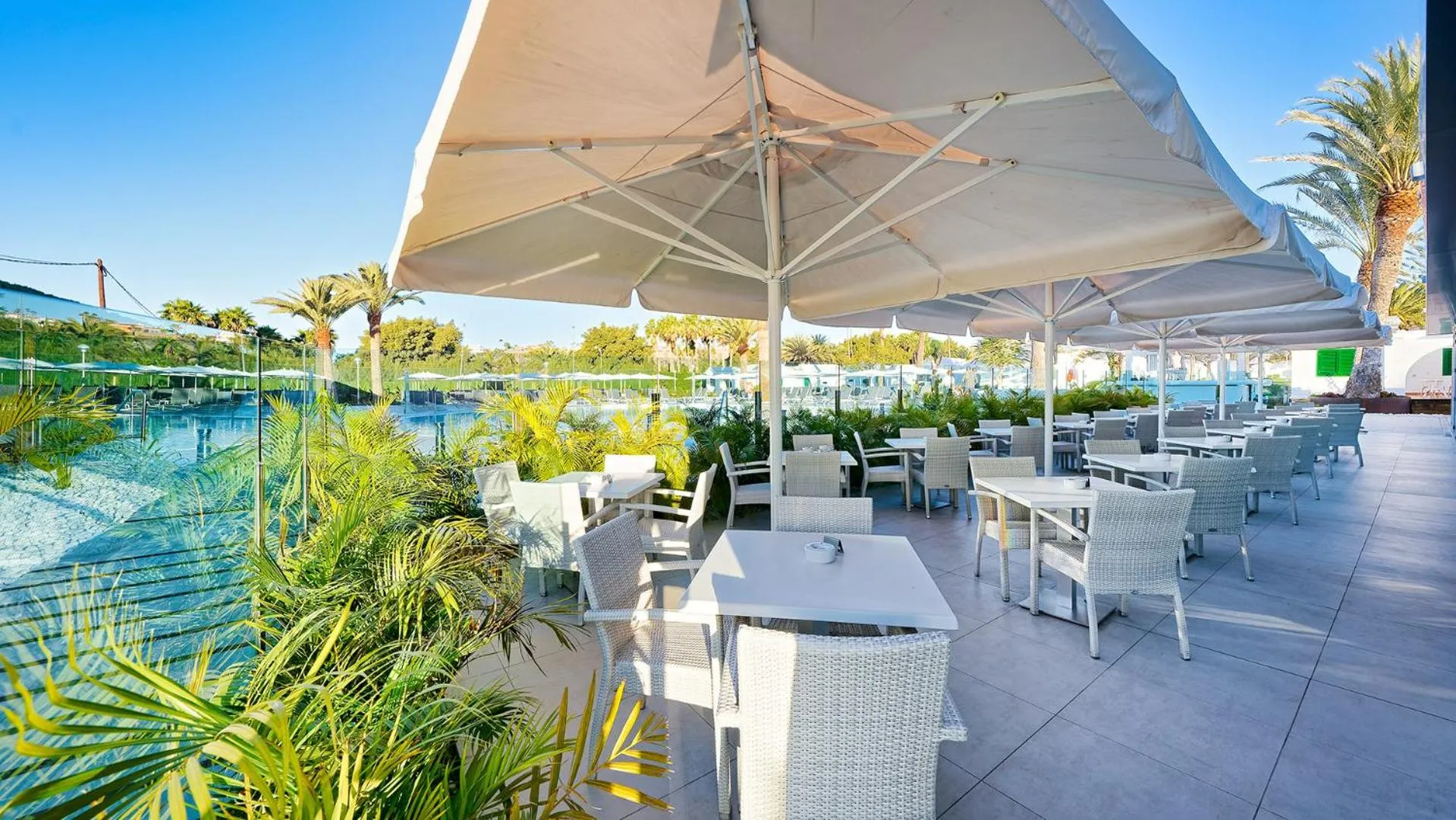 Balcony/Terrace in Canary Garden Club