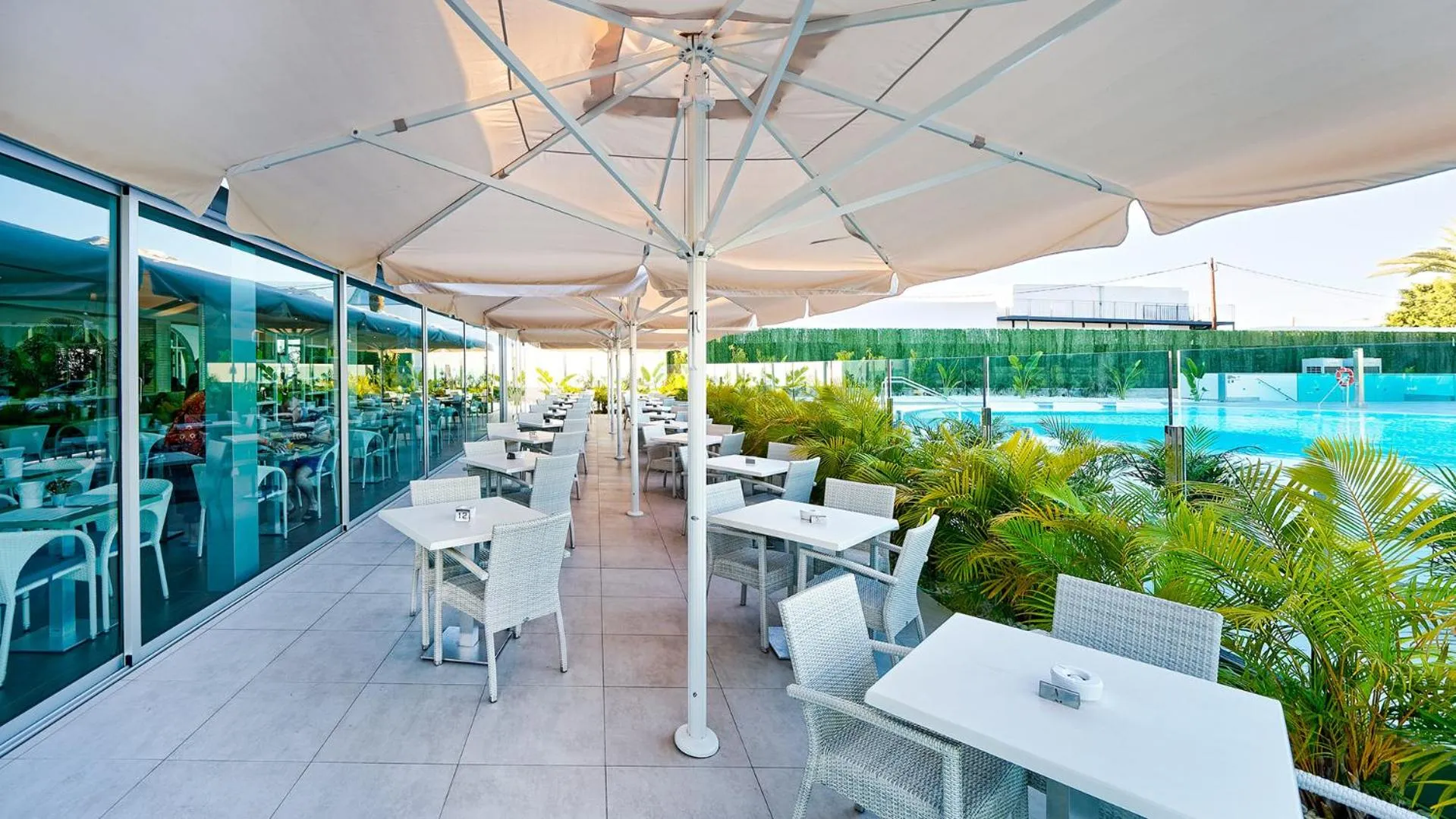 Balcony/Terrace in Canary Garden Club