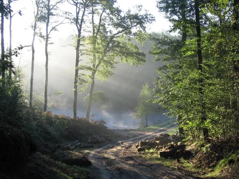La maison du bûcheron