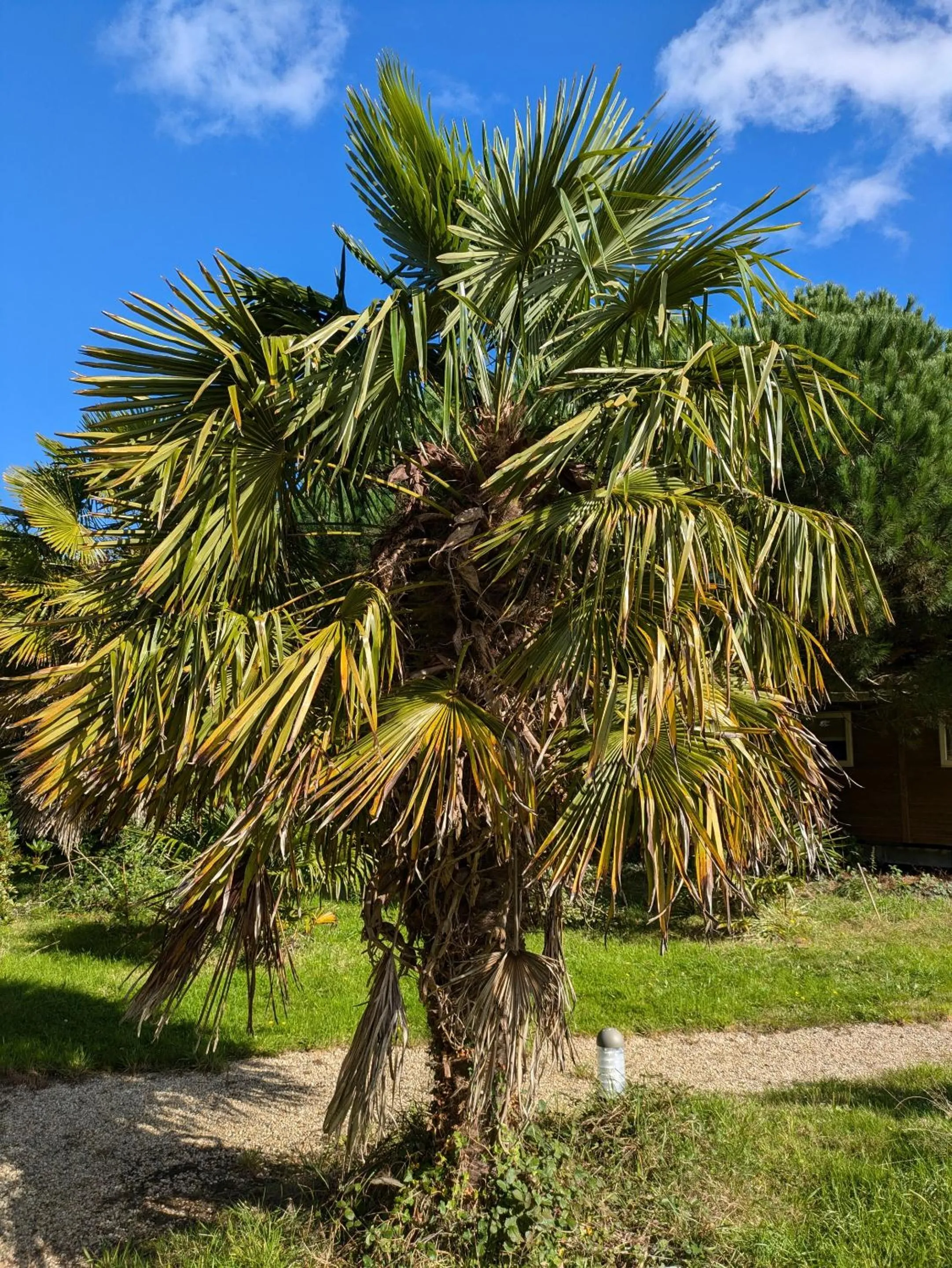 Other in Domaine de launay blot, Proche MT ST MICHEL
