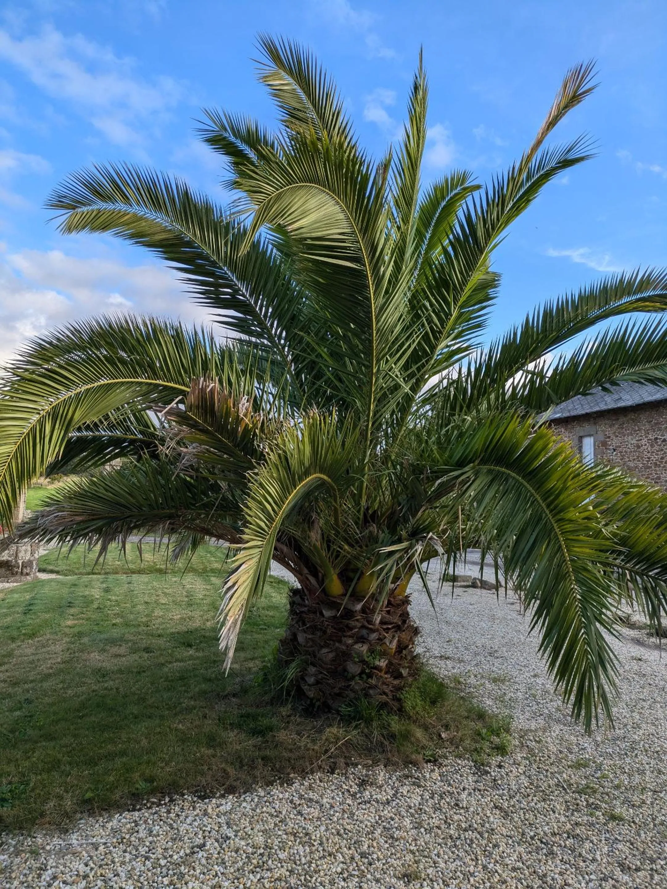 Other in Domaine de launay blot, Proche MT ST MICHEL