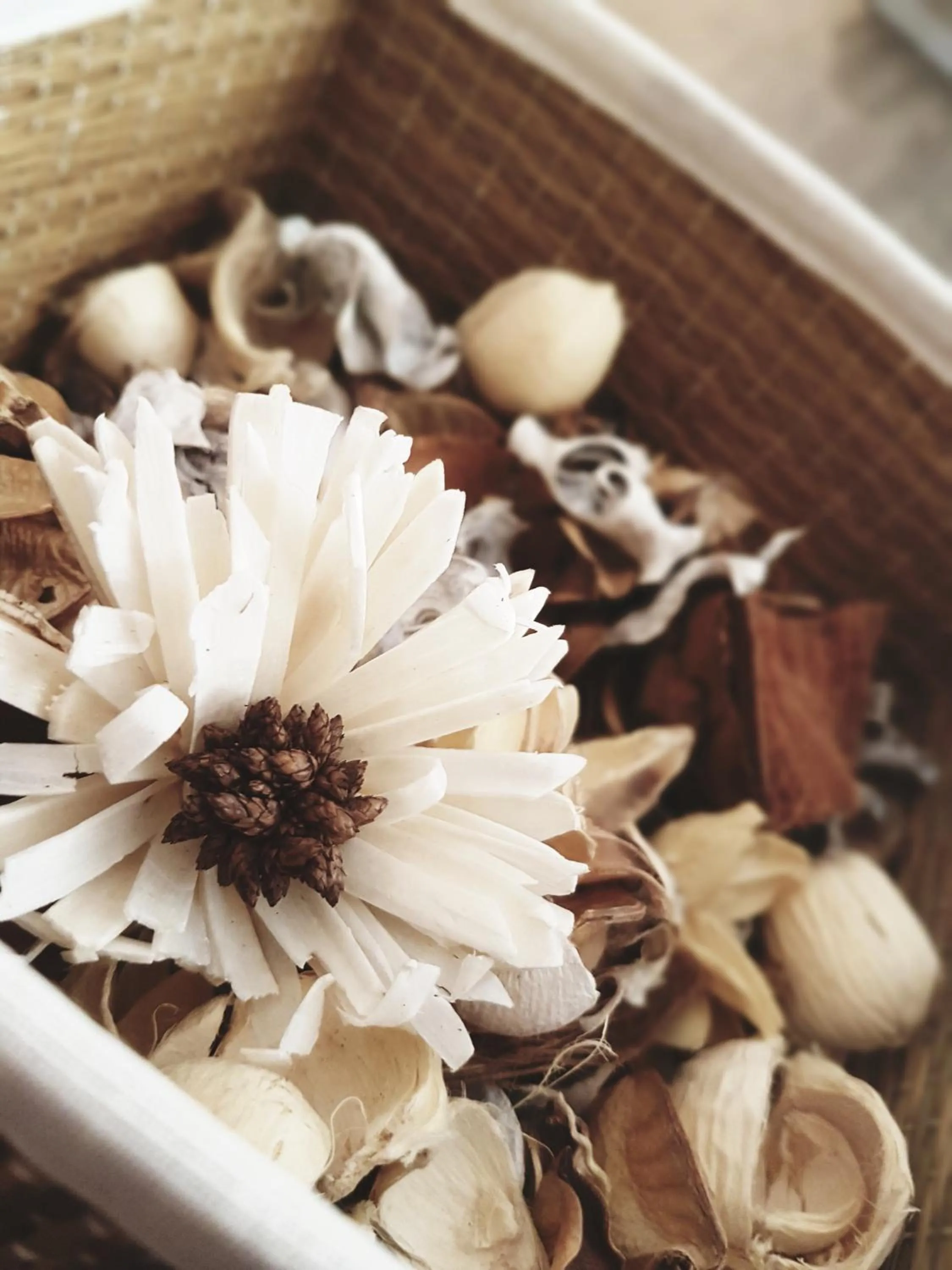 Other in Palazzo Ducale