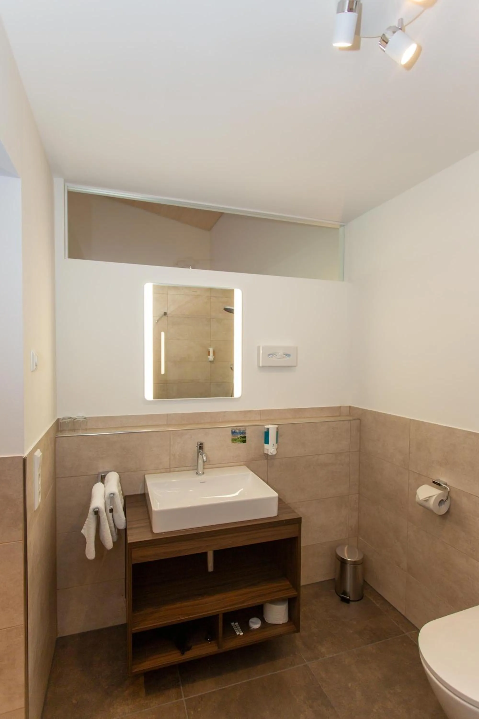 Bathroom in Hotel Waldblick