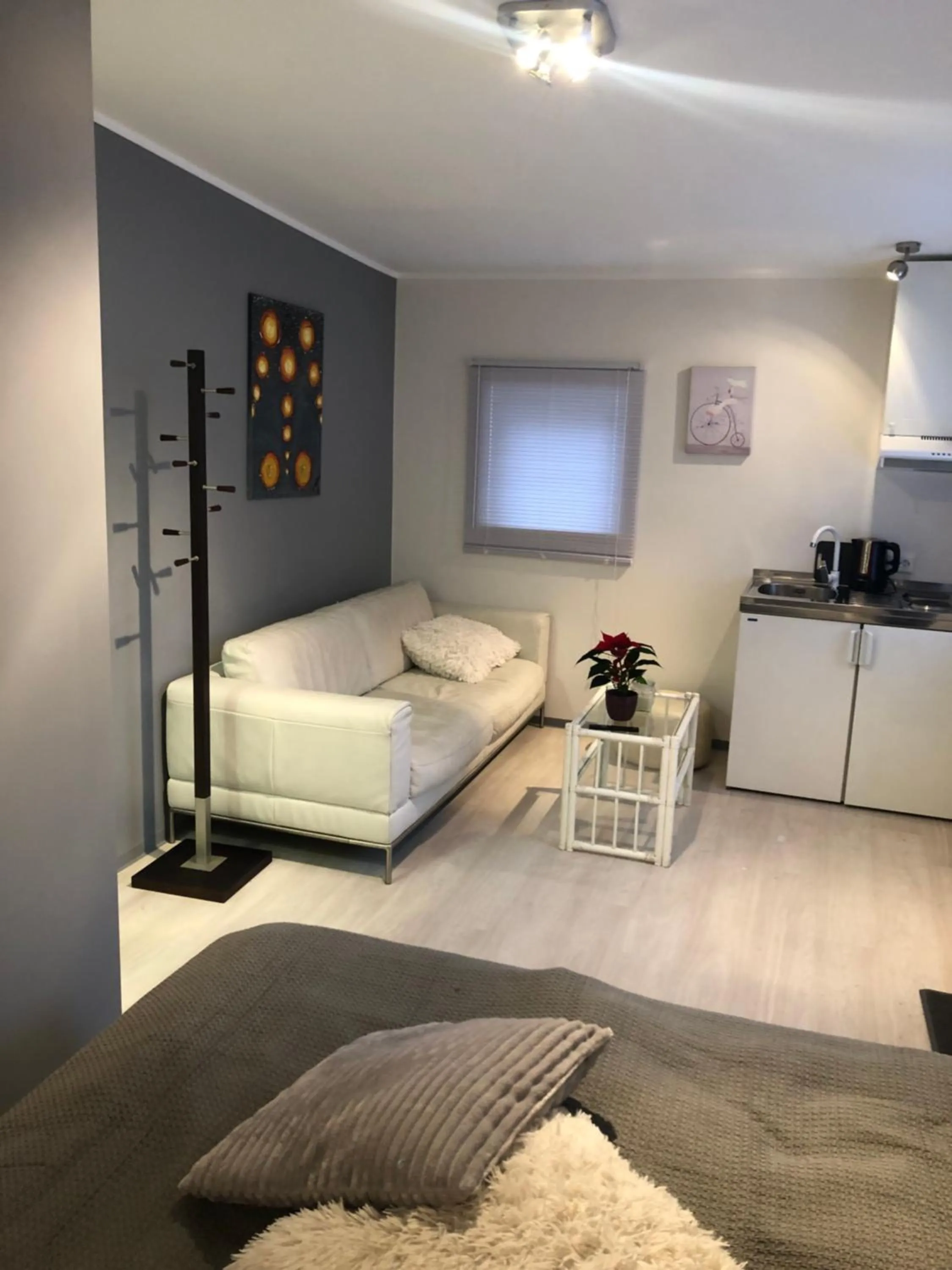 Superior Studio - single occupancy in Paivilla Boutique Hotel