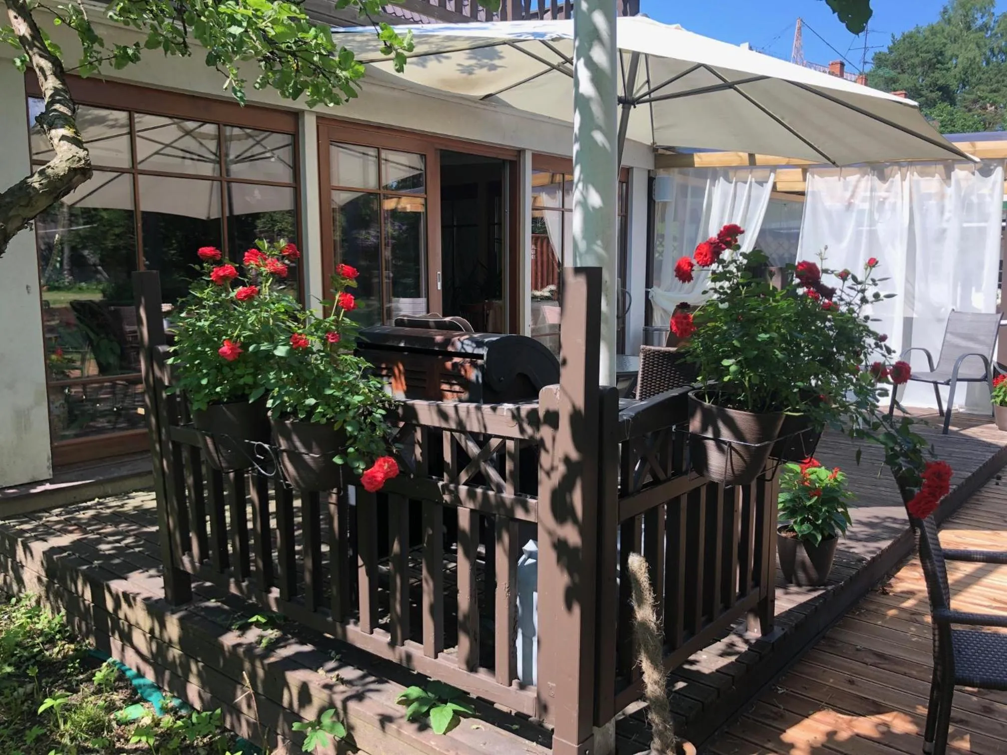 Patio in Paivilla Boutique Hotel