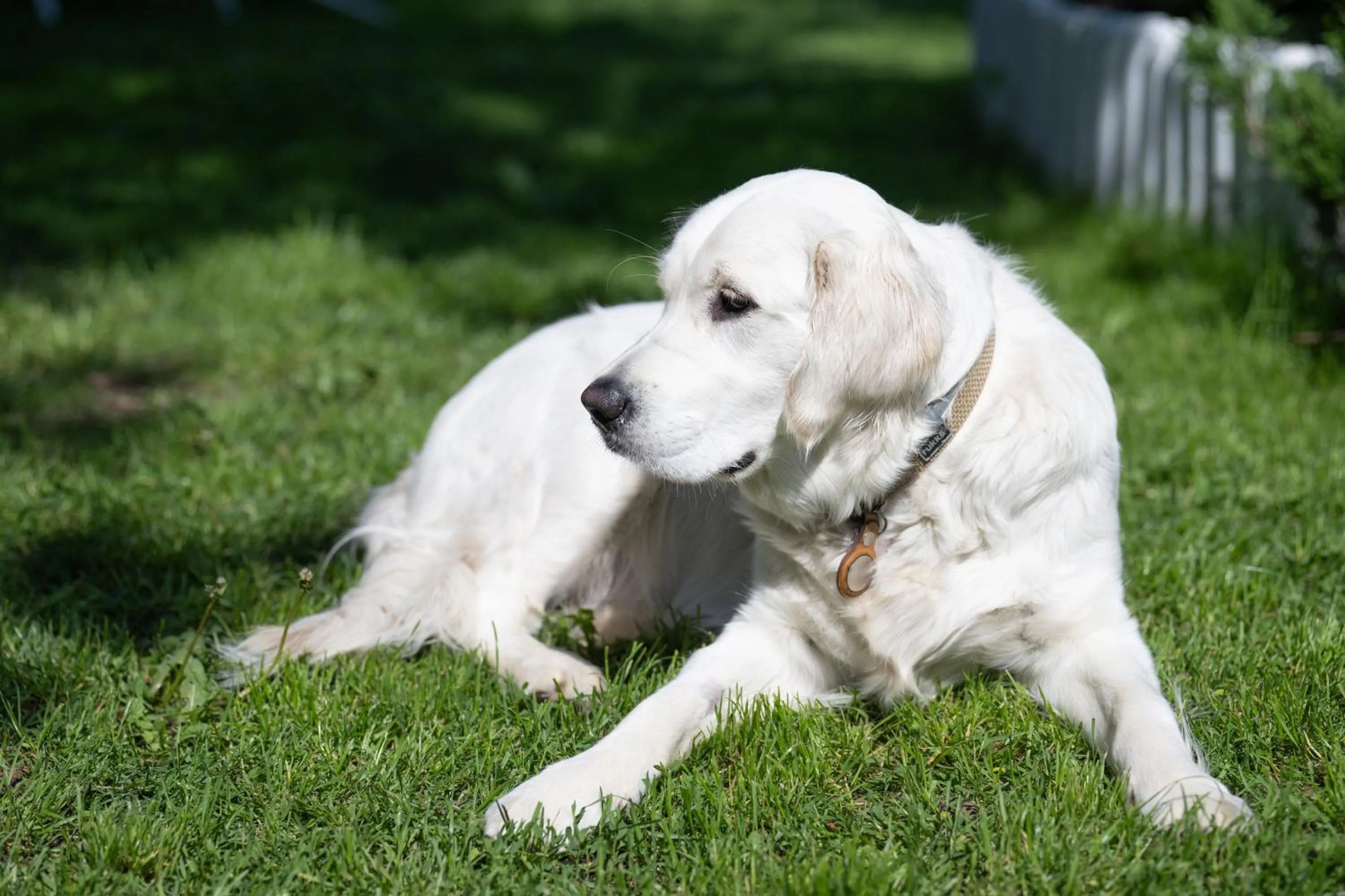 Paivilla Boutique Hotel