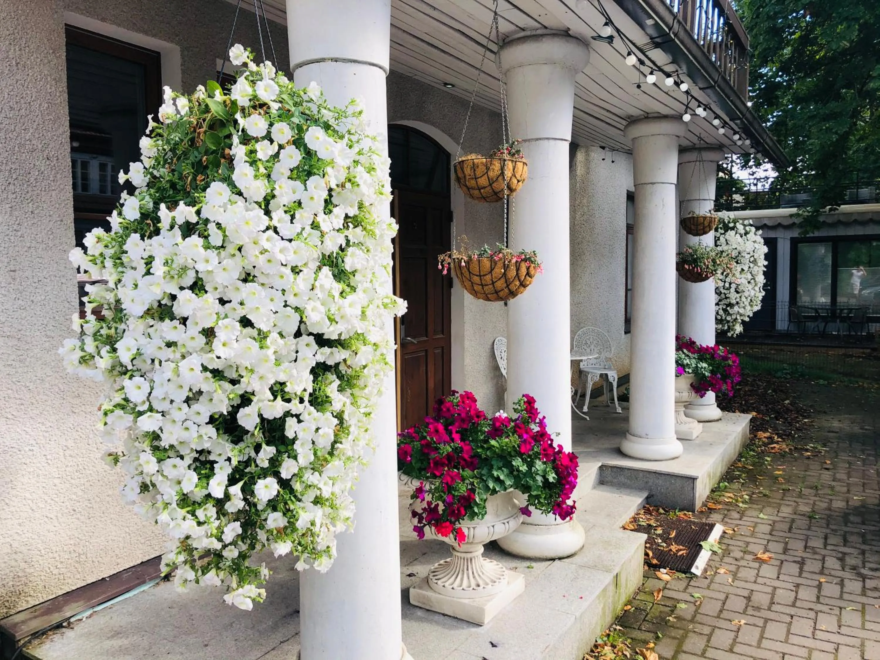 Property building in Paivilla Boutique Hotel