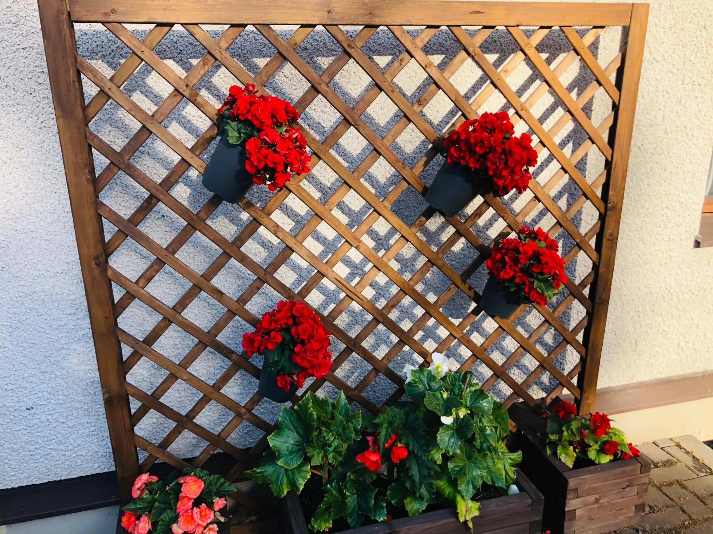 Garden in Paivilla Boutique Hotel