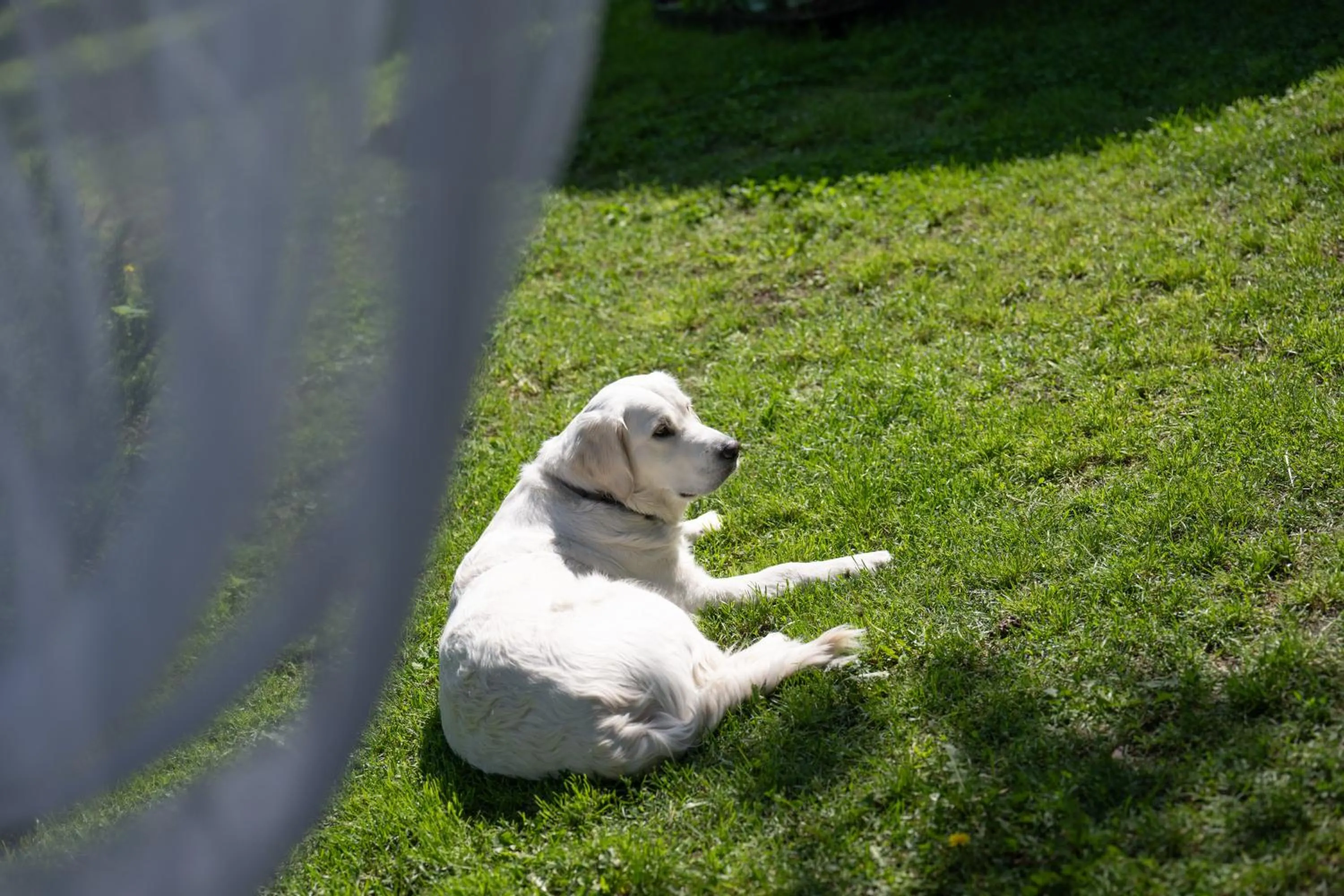 Paivilla Boutique Hotel