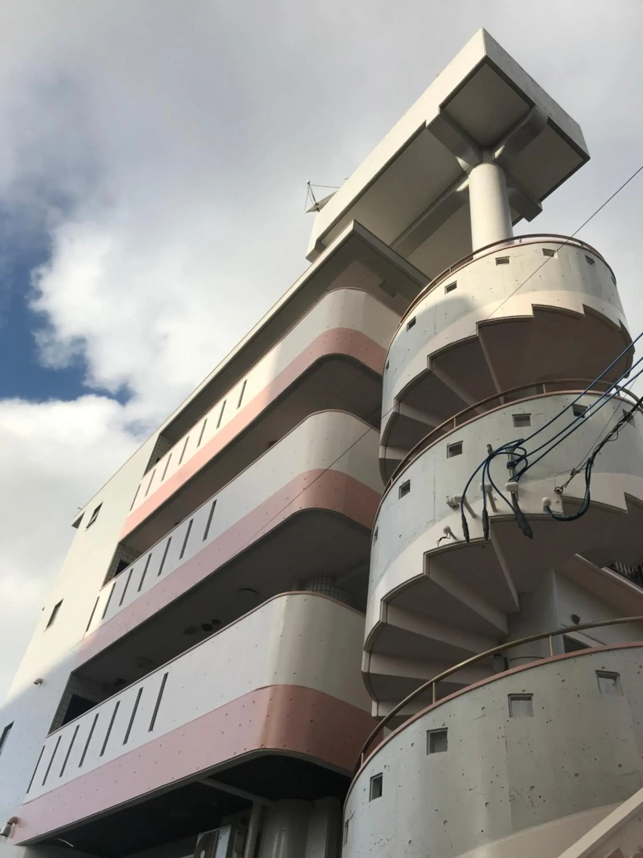 Joyful Rose Joyful Rose