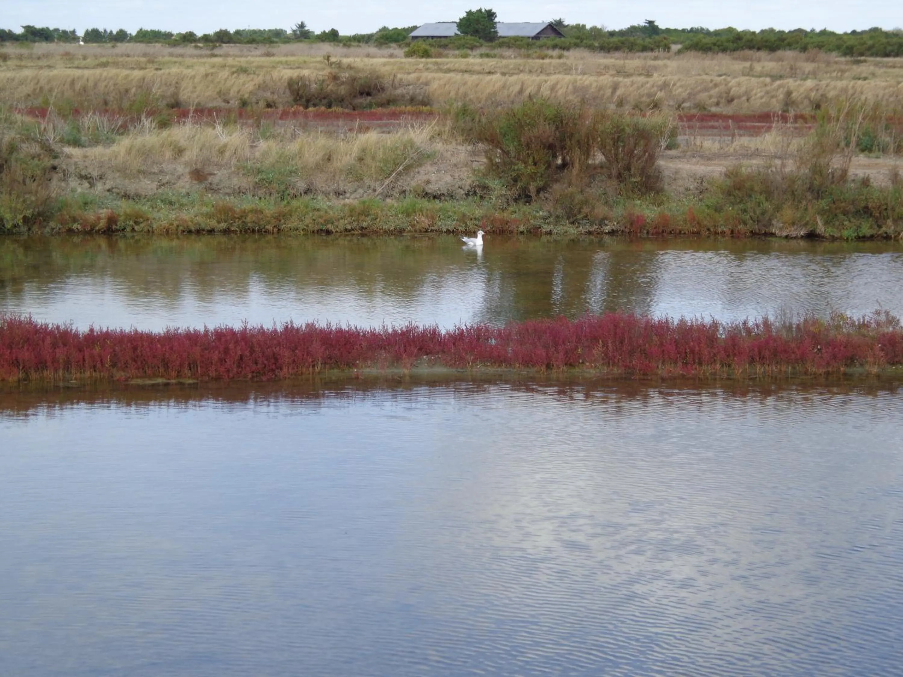 Off site in Le Chat Botté