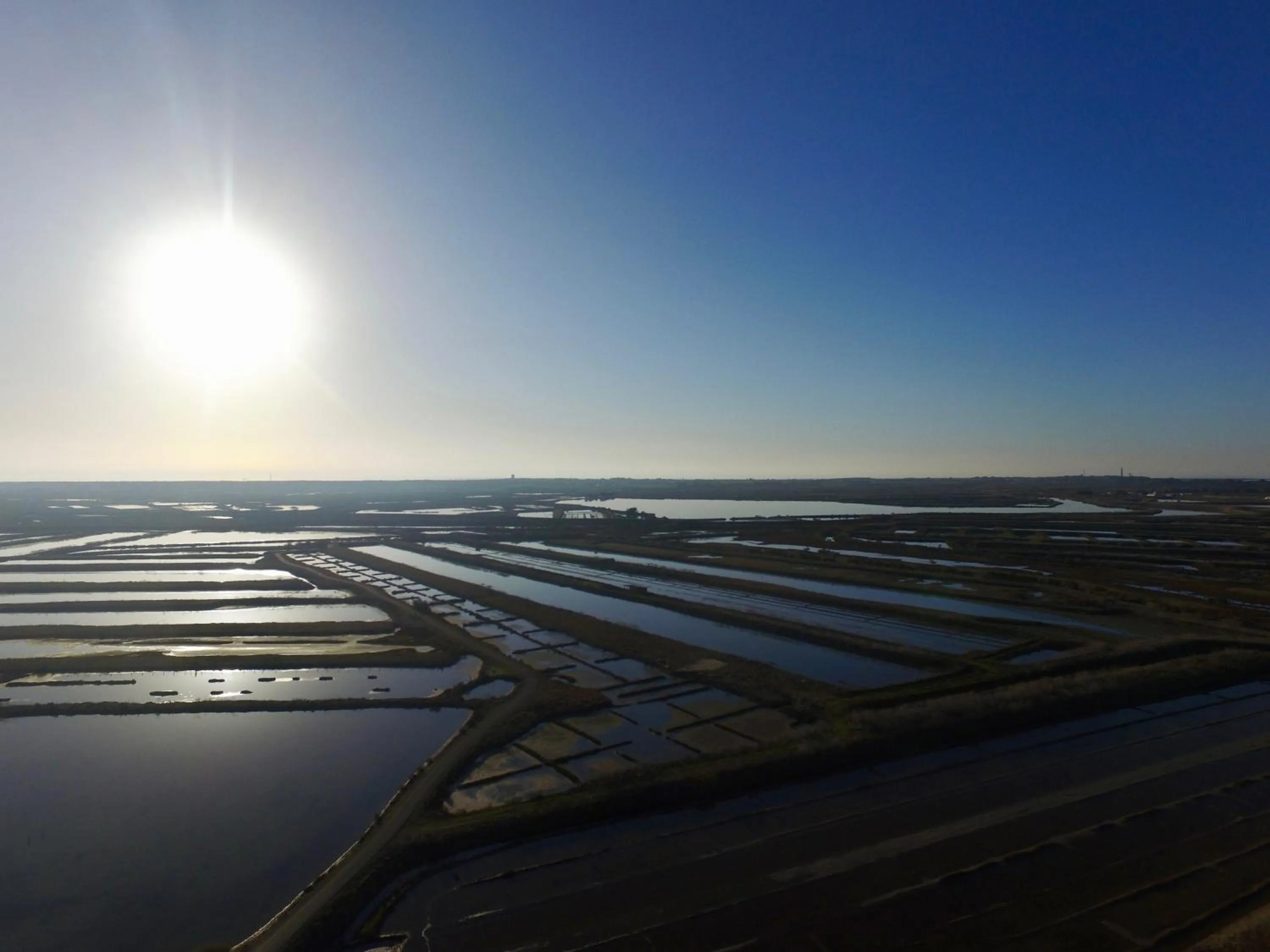 Other in Le Chat Botté