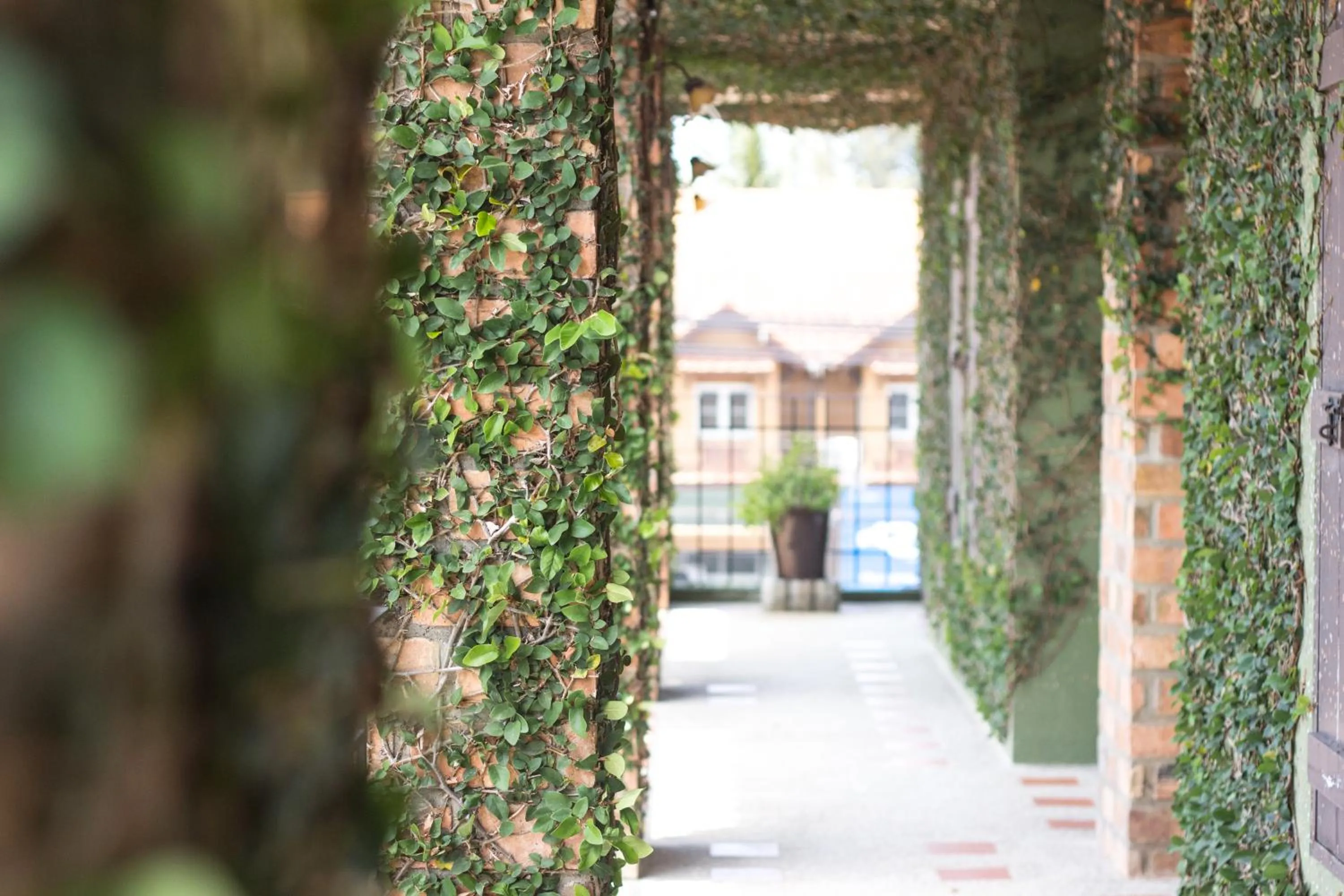 Property building in Khaolak Tony Lodge