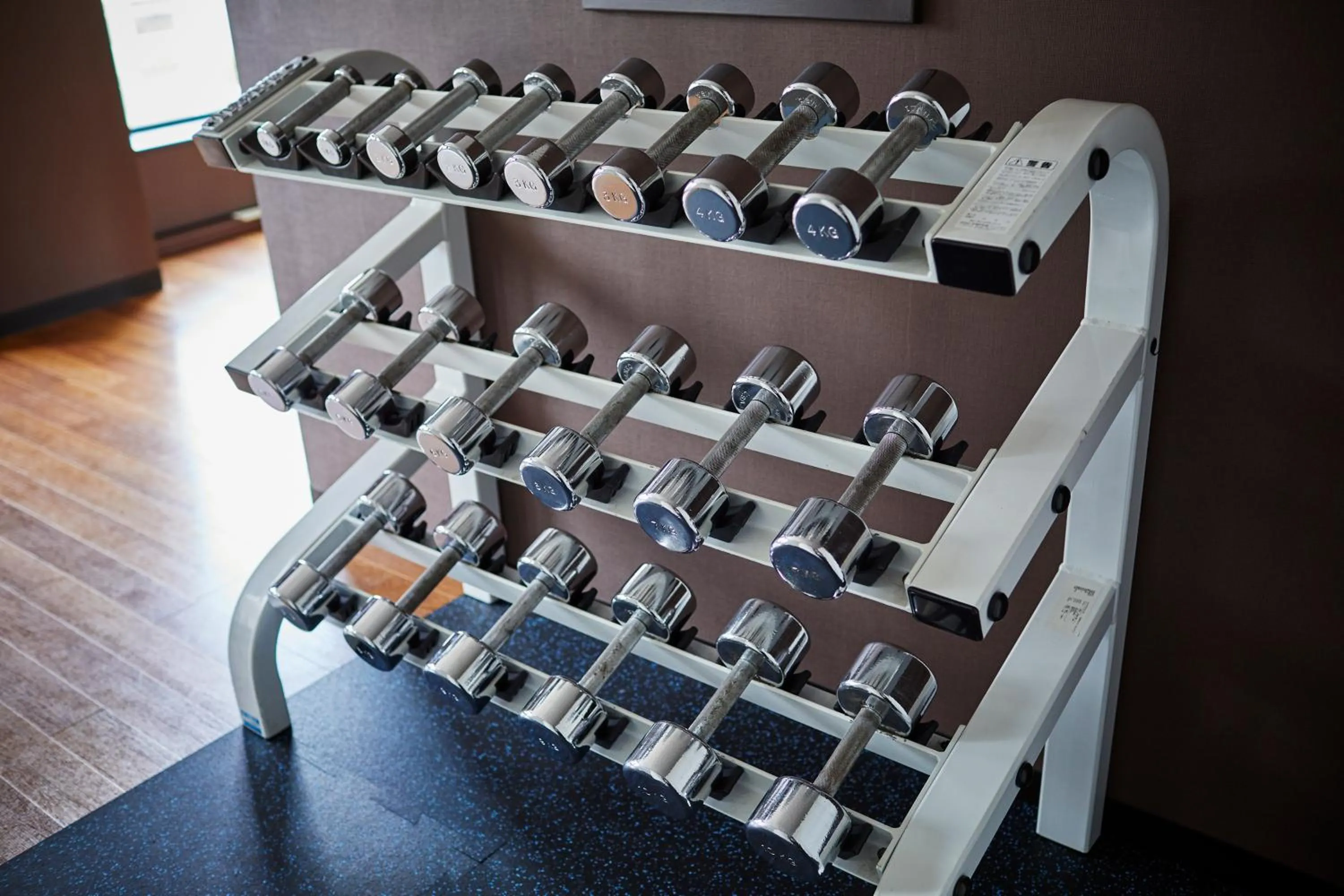 Fitness centre/facilities in Keio Plaza Hotel Tokyo Premier Grand