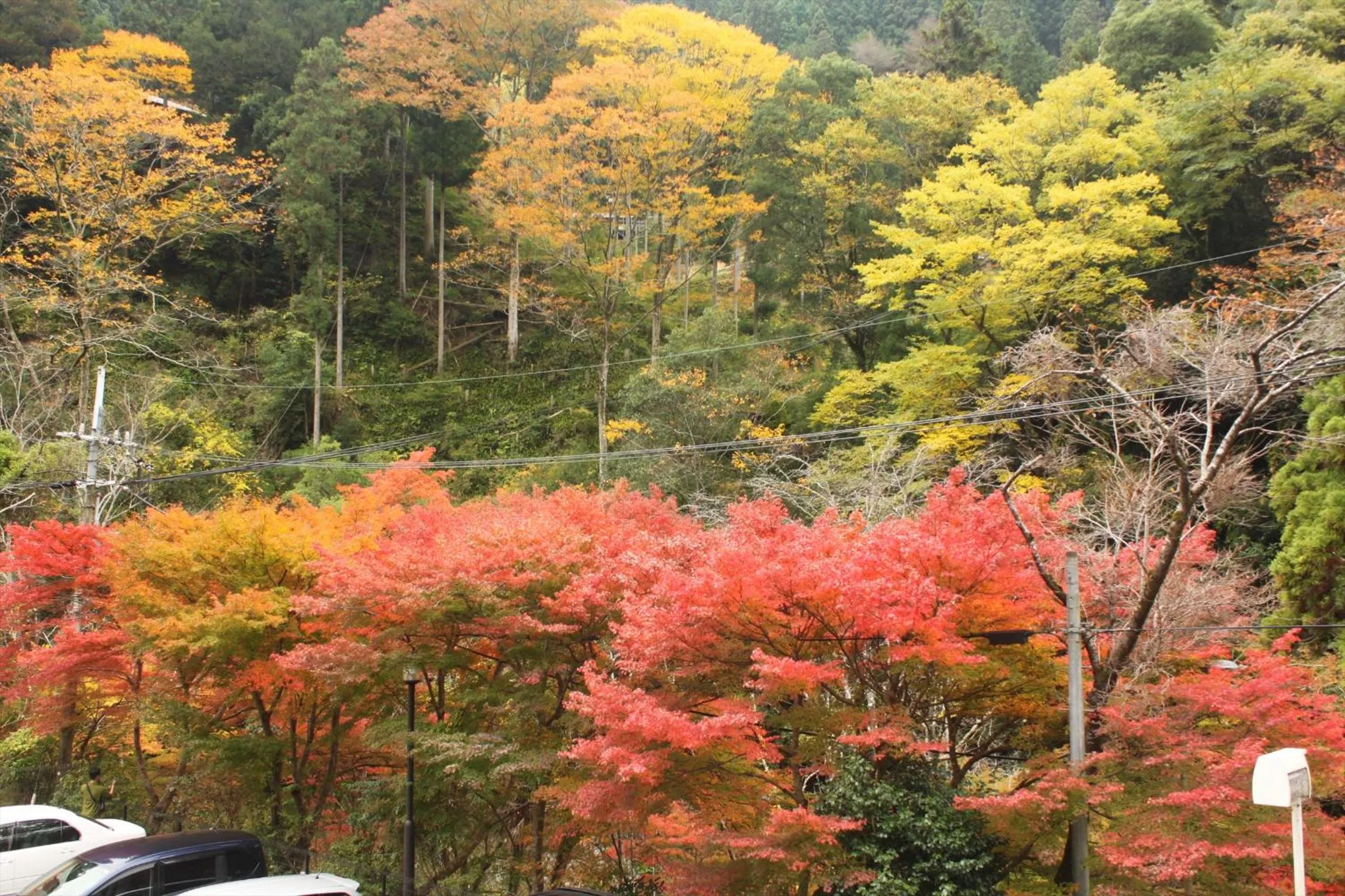 Autumn in Yadori Onsen Iyashinoyu