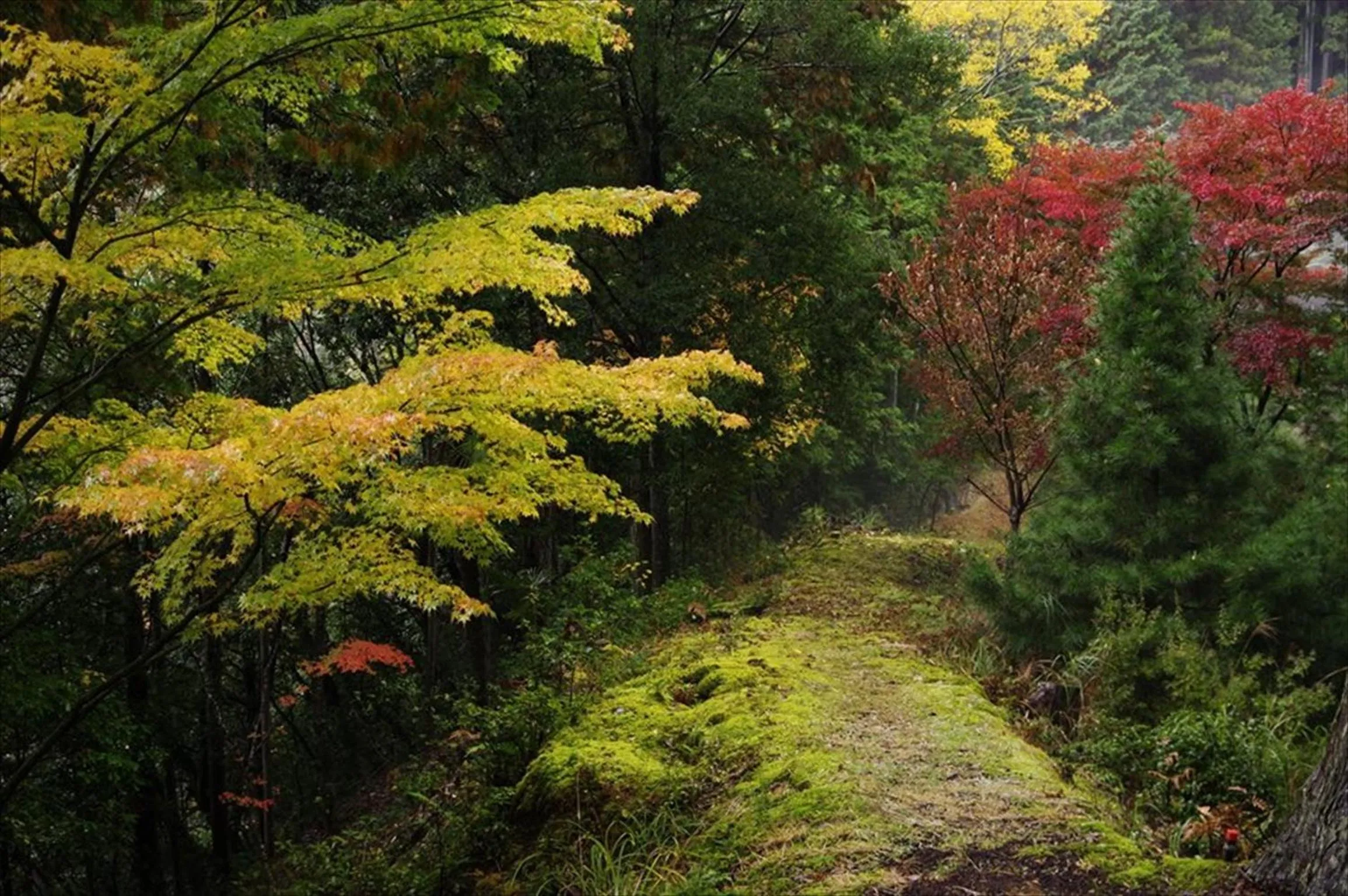 Off site in Yadori Onsen Iyashinoyu