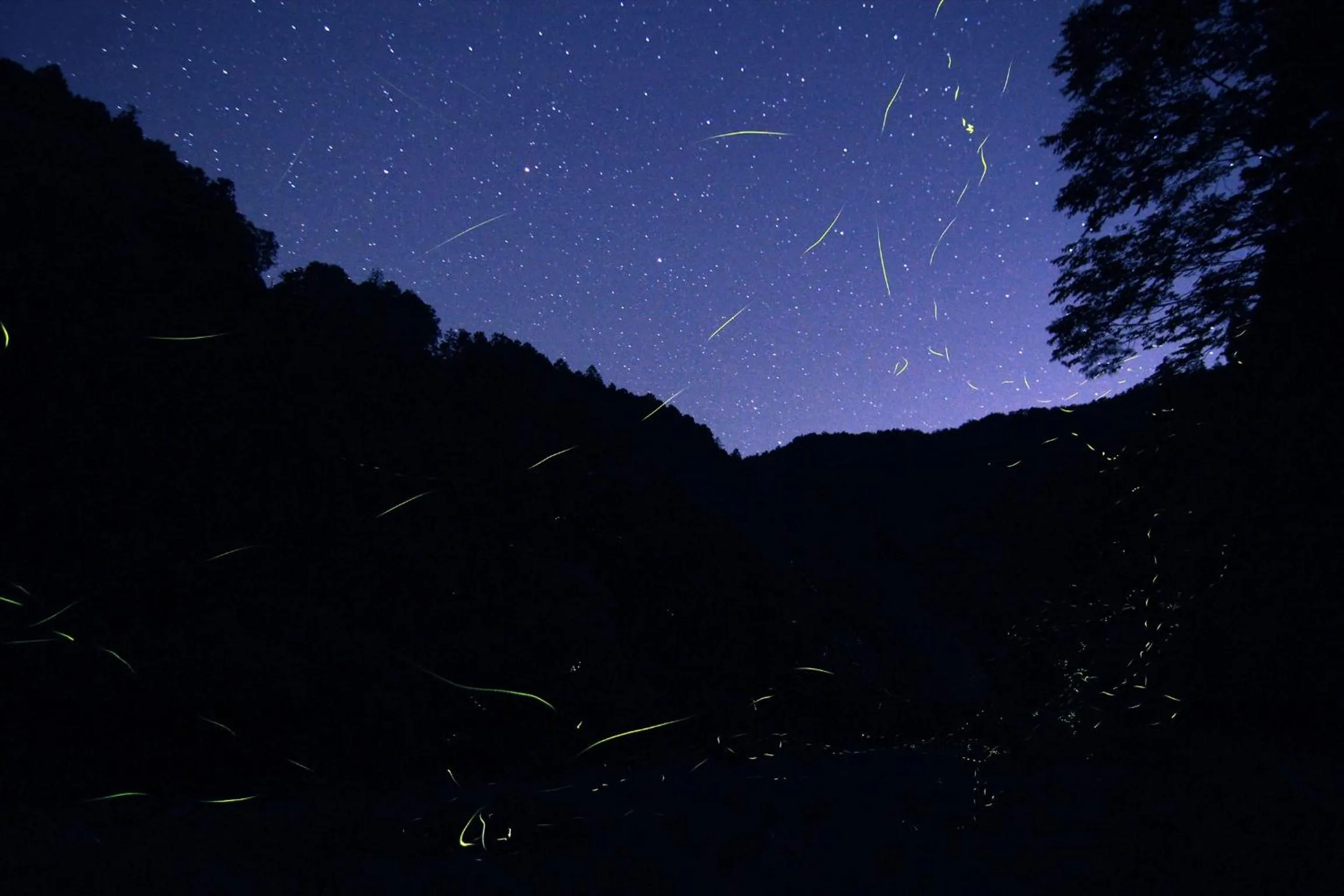 Off site in Yadori Onsen Iyashinoyu