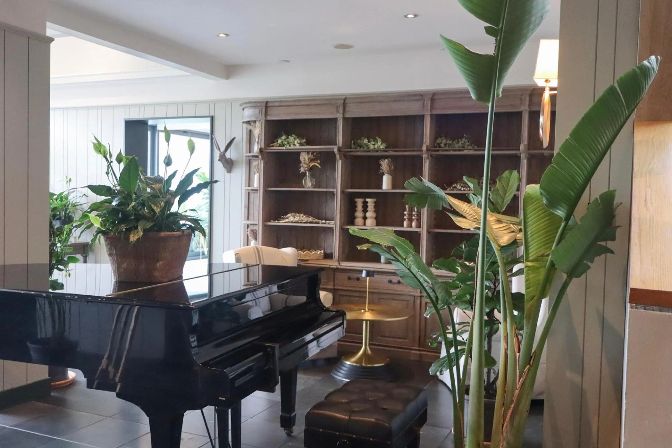 Property building in Ballyroe Lodge