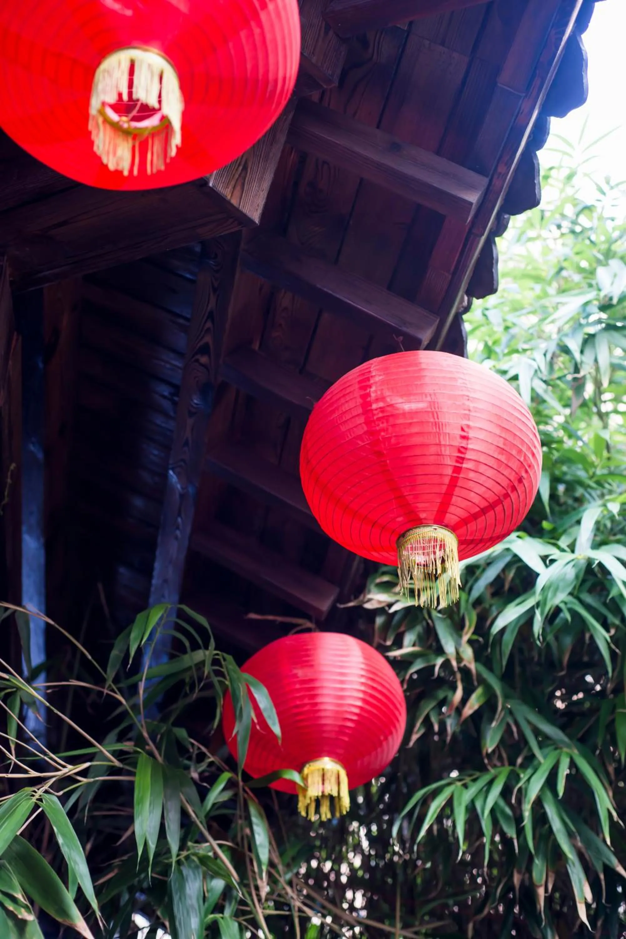 Garden view in Qingdao MG Hotel l Walking distance to the beach & railway station & St Michaels Cathedral