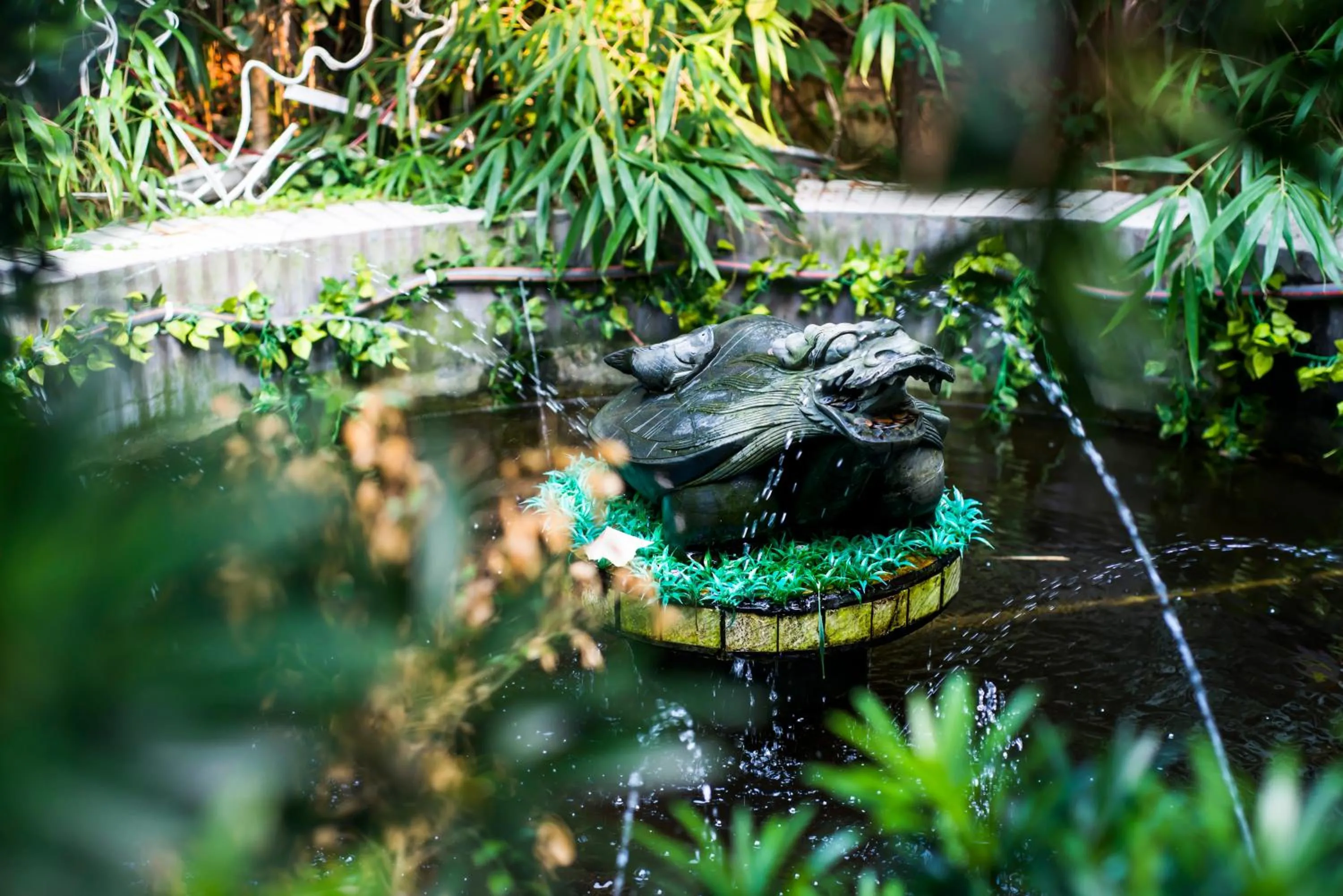 Garden view in Qingdao MG Hotel l Walking distance to the beach & railway station & St Michaels Cathedral