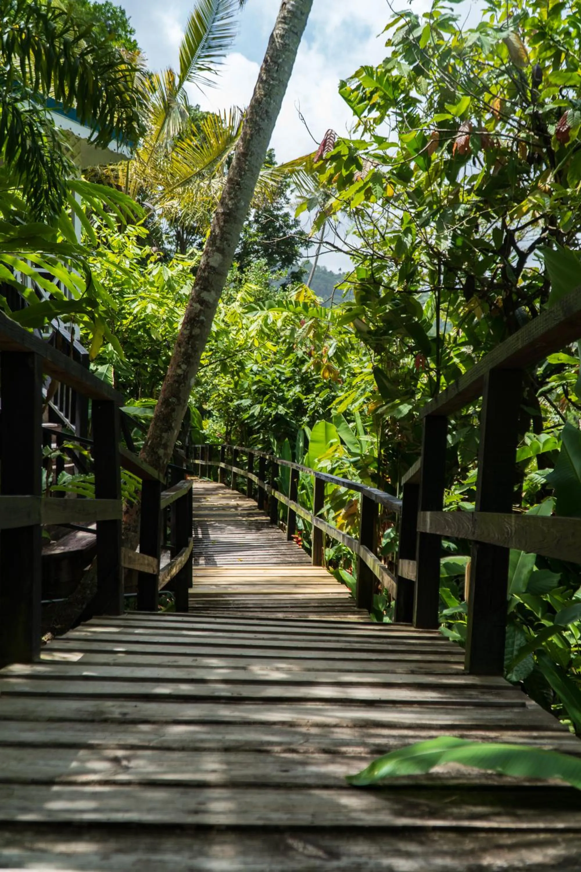 Facade/entrance in Fond Doux Eco Resort