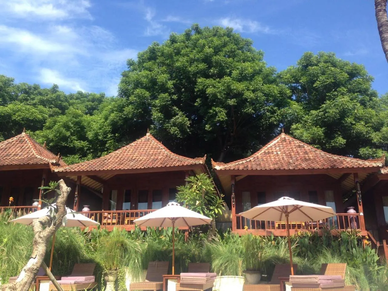 Garden view in Paradesa Living