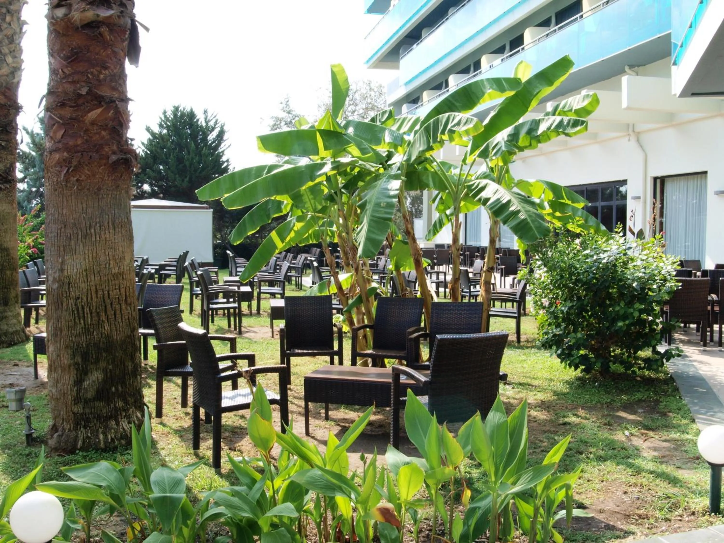 Garden in Calypso Beach