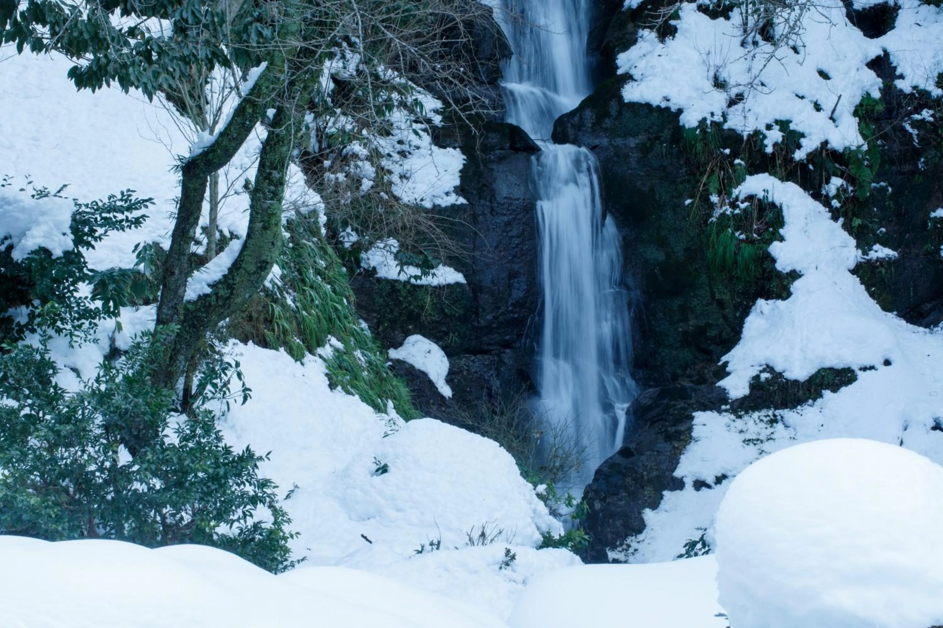 Natural landscape in TAKITEI Riverside Onsen ーA Hidden Ryokan in Kanazawaー