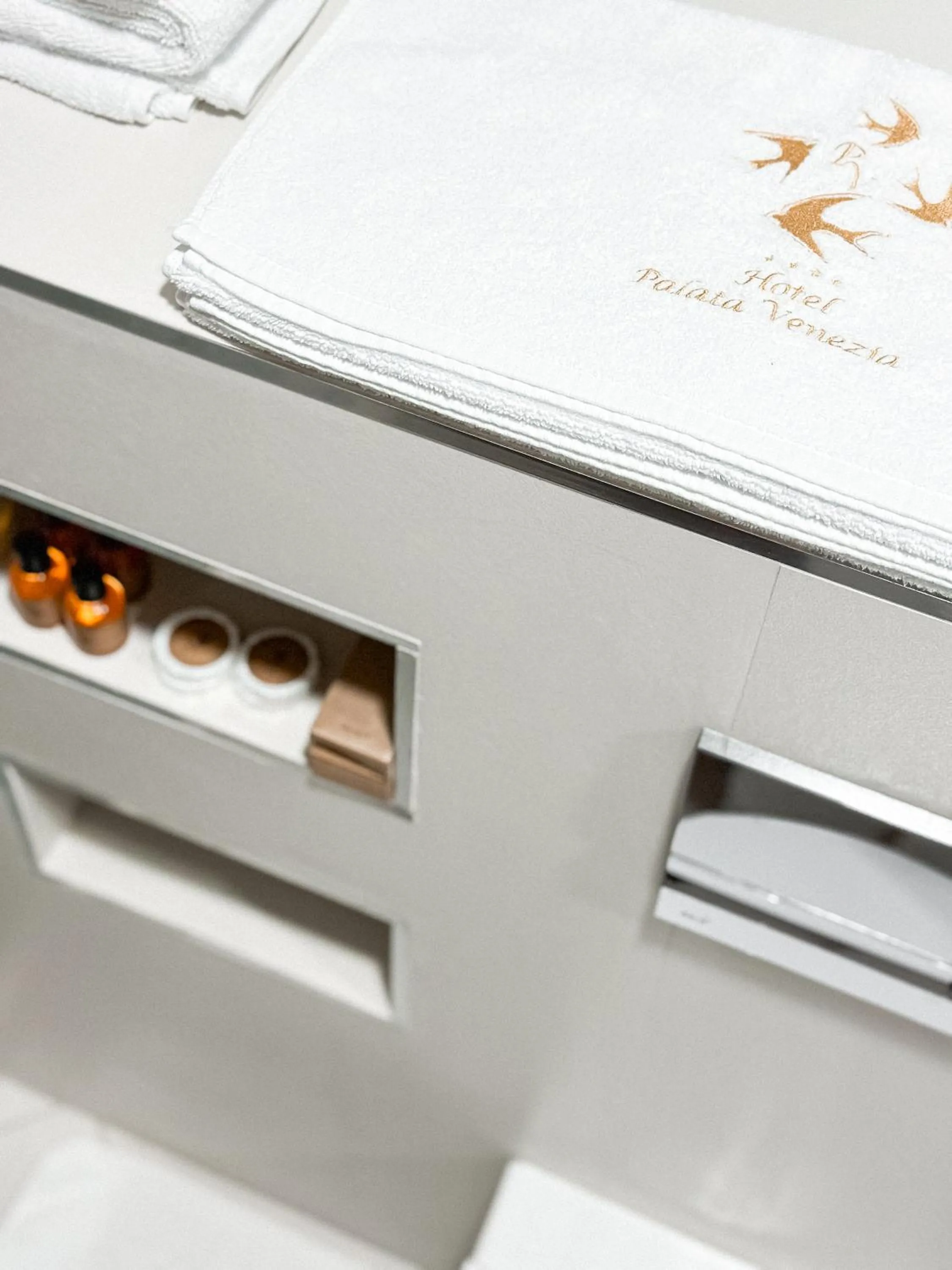 Property logo or sign in Hotel Palata Venezia