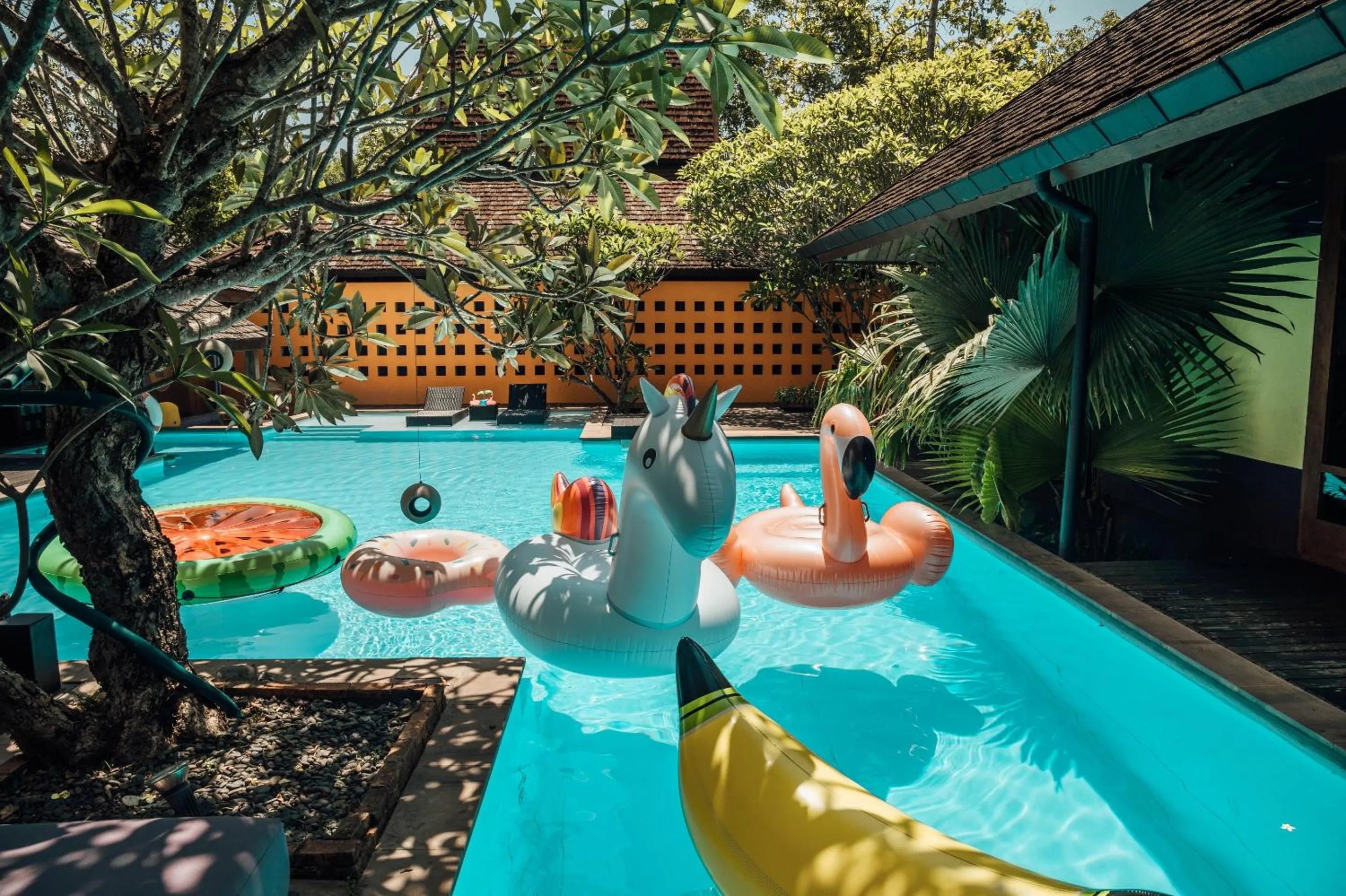 Garden view in Chandra Residence