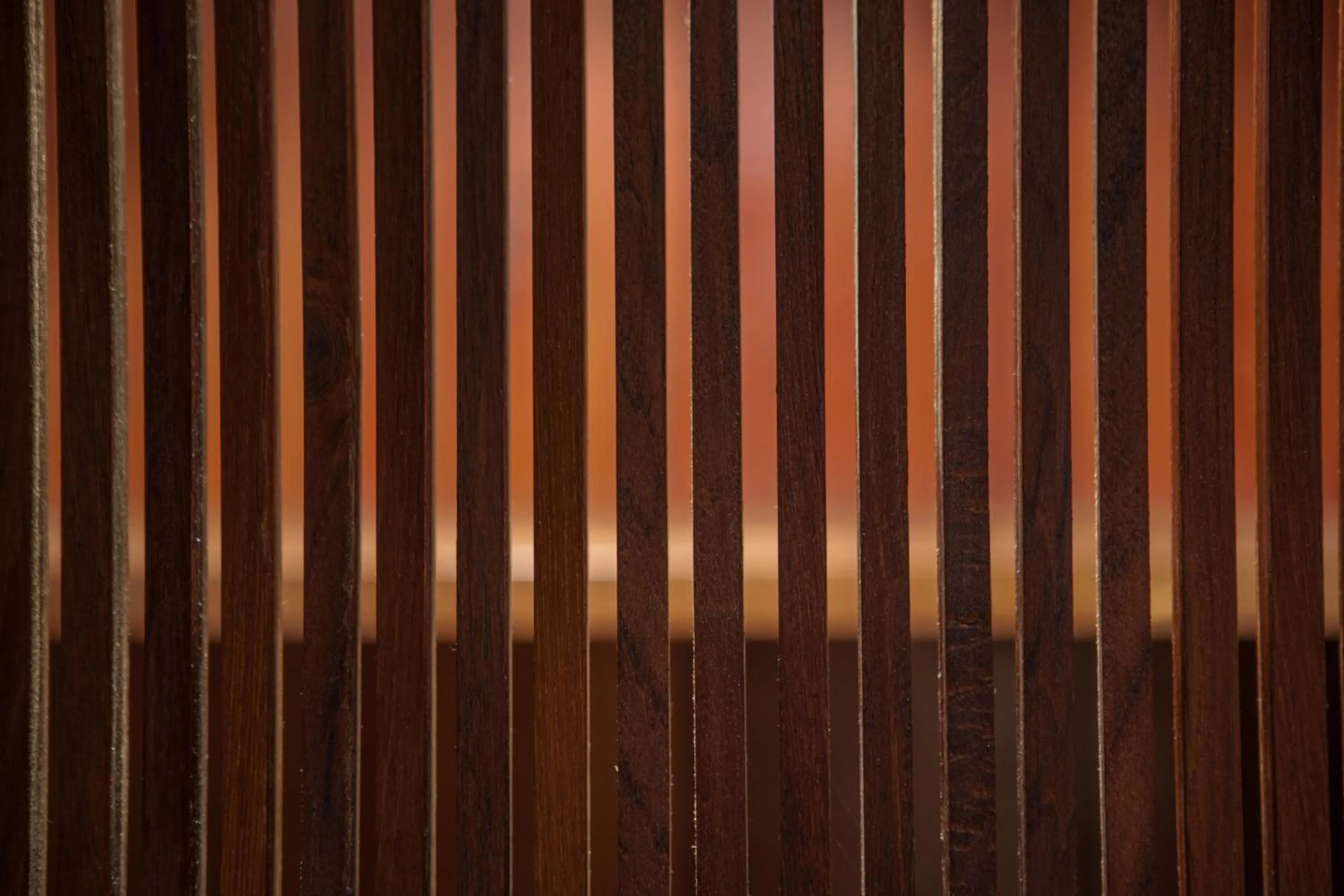 Decorative detail in Chandra Residence