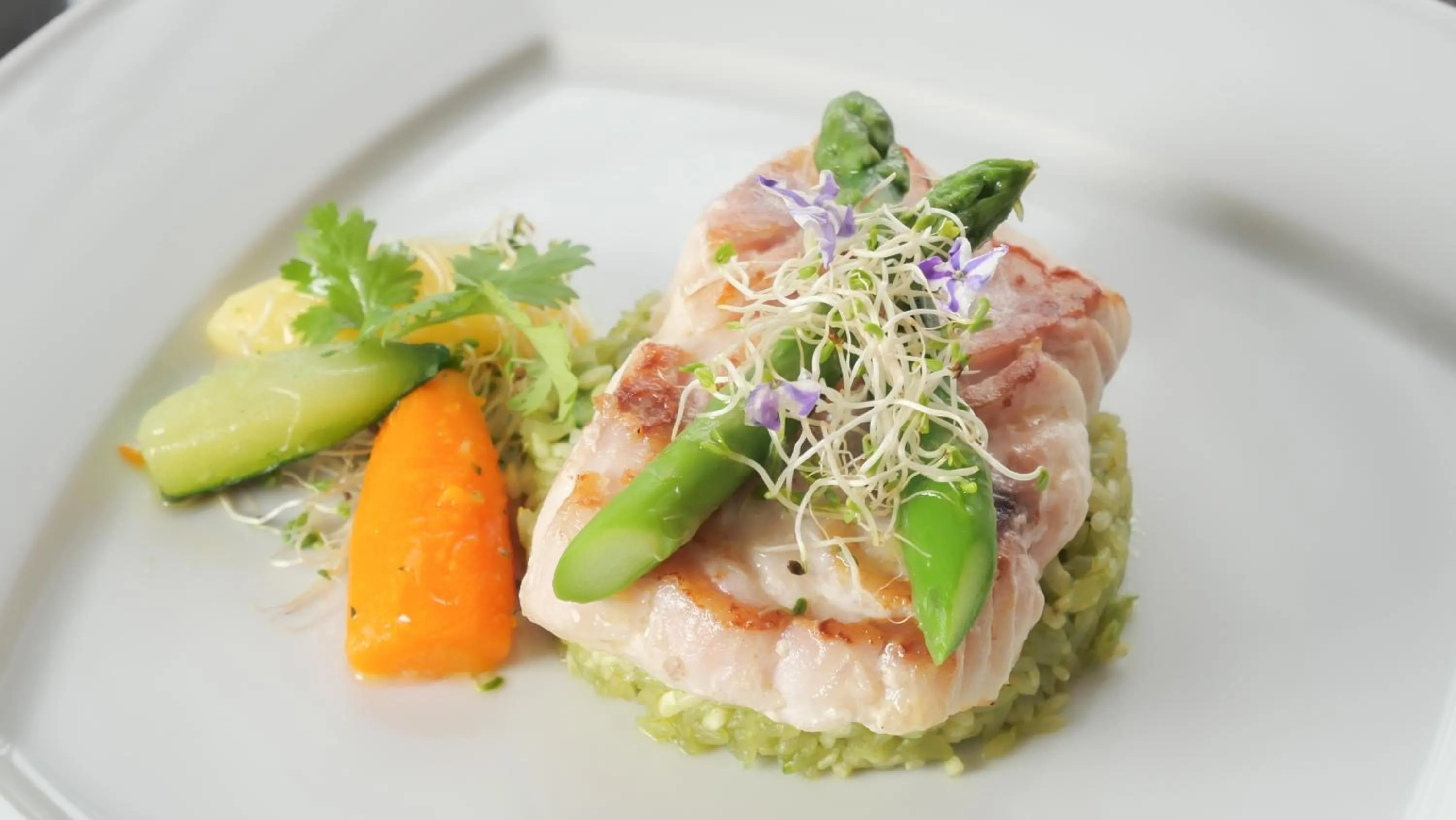 Food and drinks in Barceló Santo Domingo