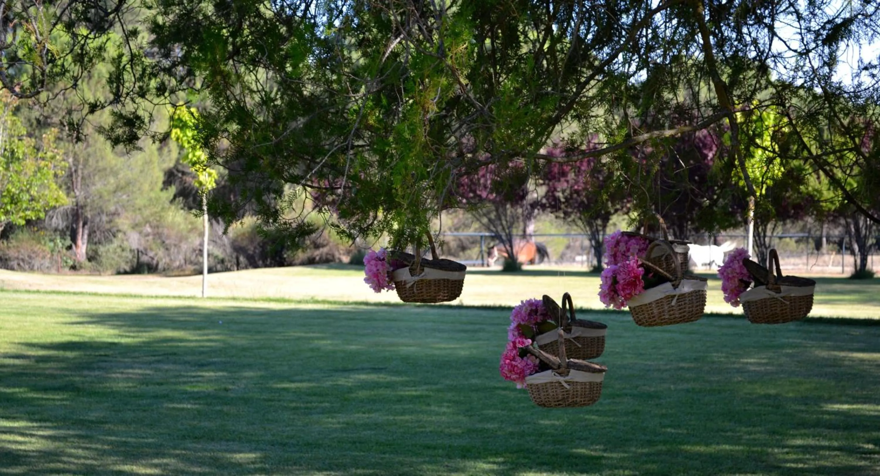 Garden in La Posada Real del Pinar
