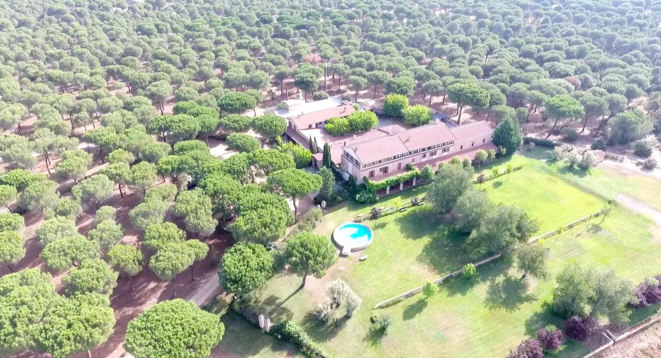 Bird's eye view in La Posada Real del Pinar